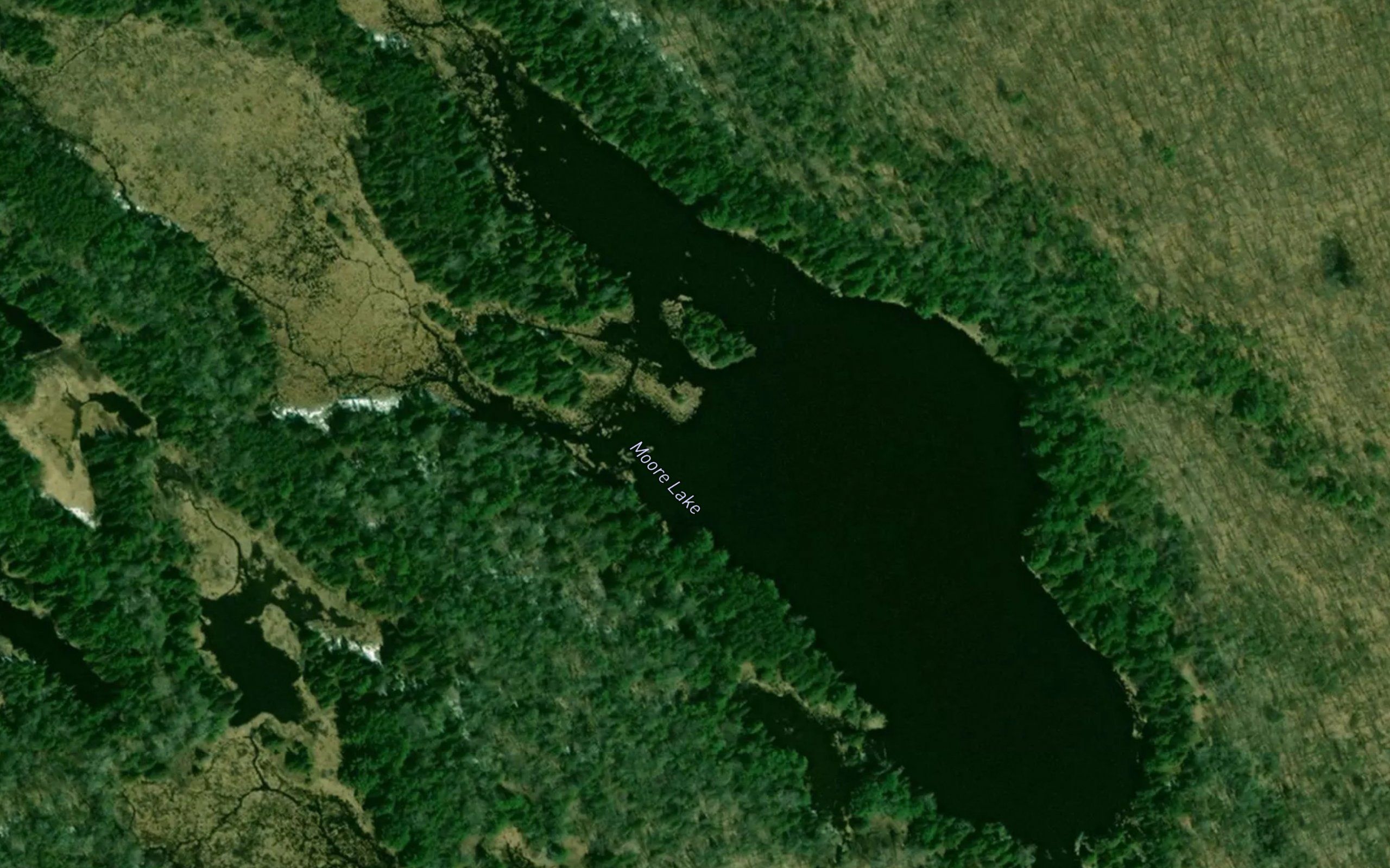 Moore Lake