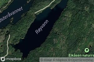 Roivatnet