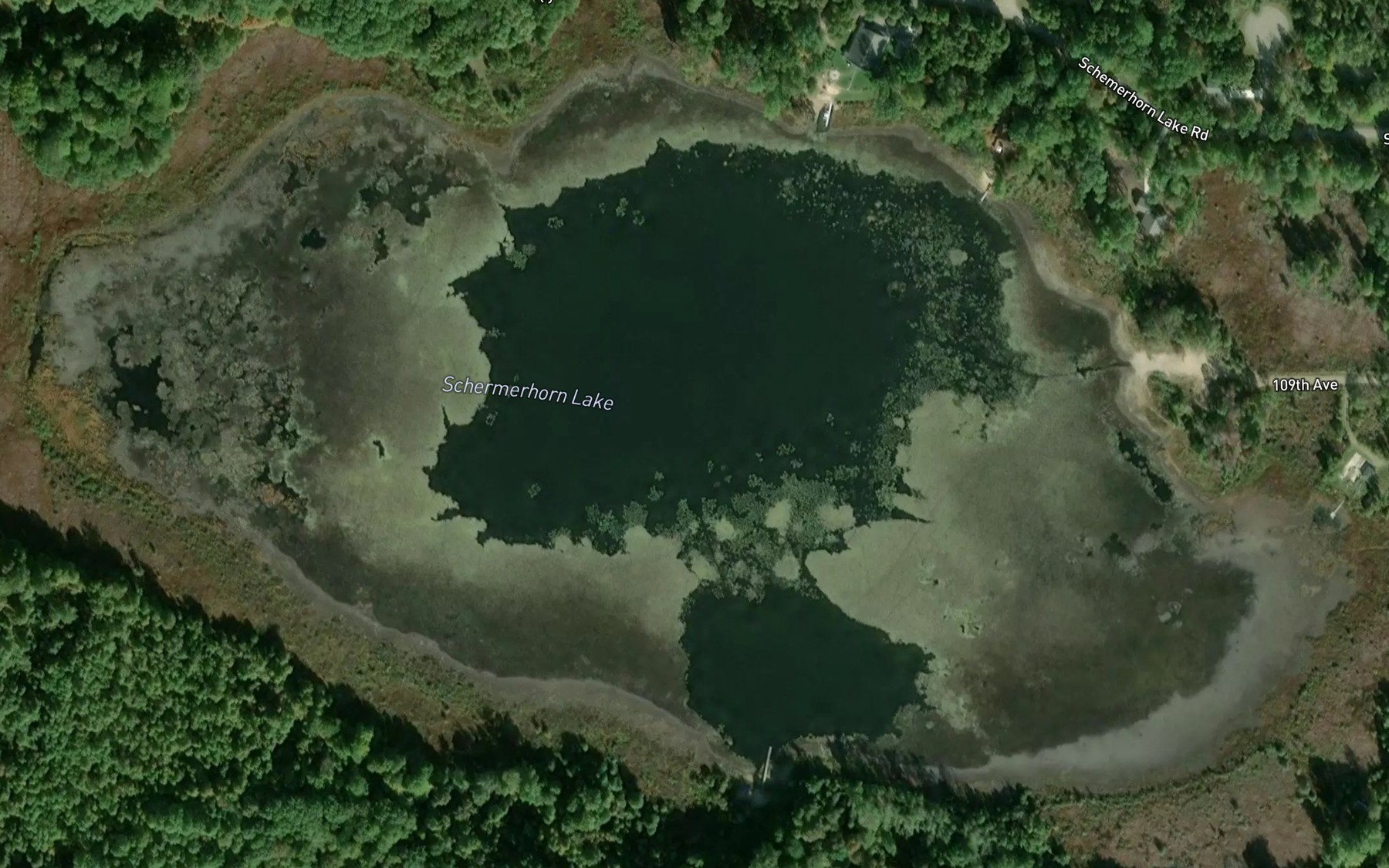 Satellite map of the Schermerhorn Lake