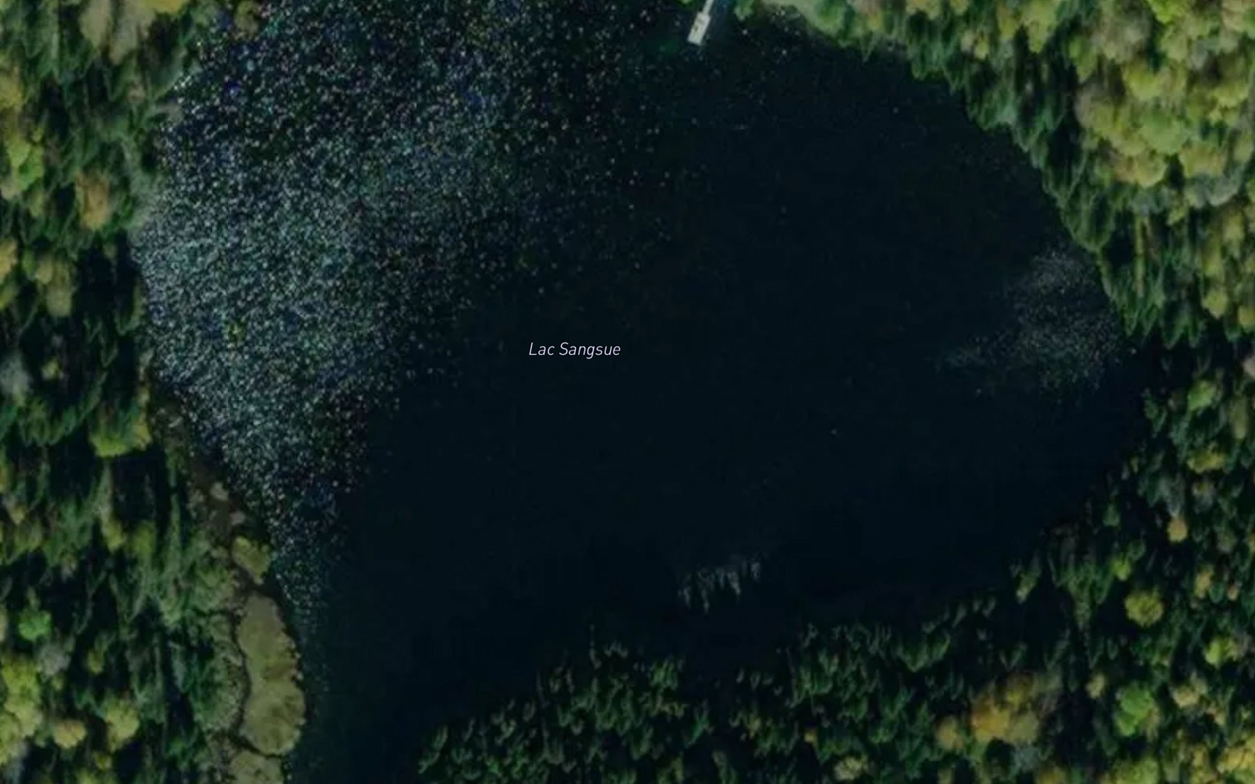 Satellite map of the Lac Sangsue