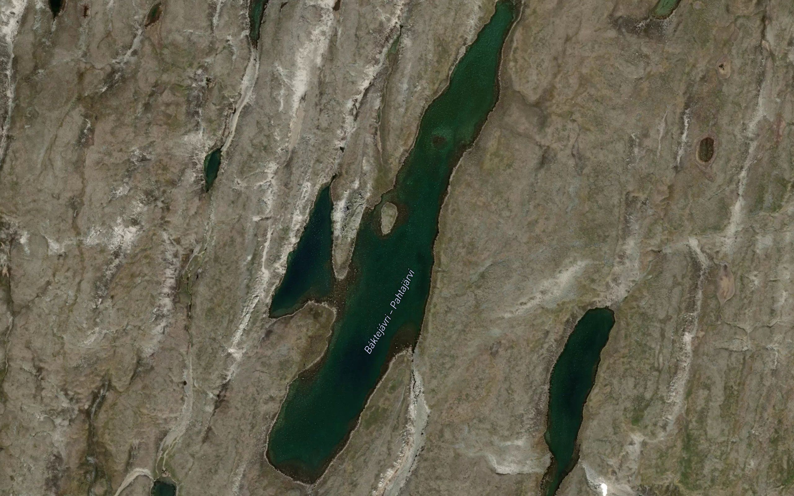 Baktejavri