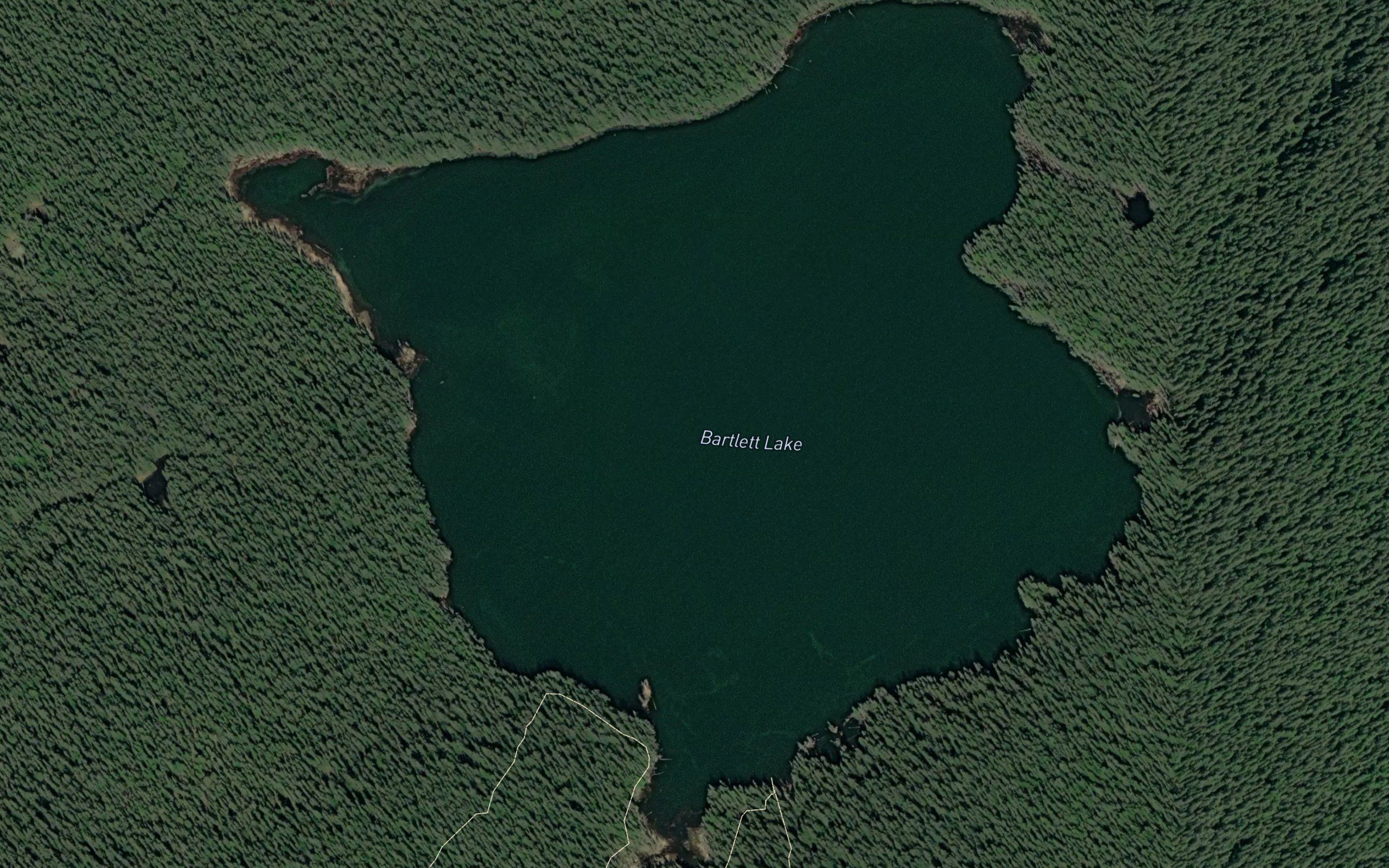 Bartlett Lake