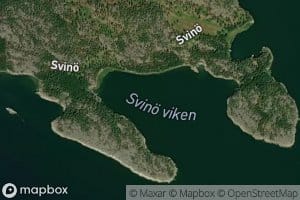 Svino Viken