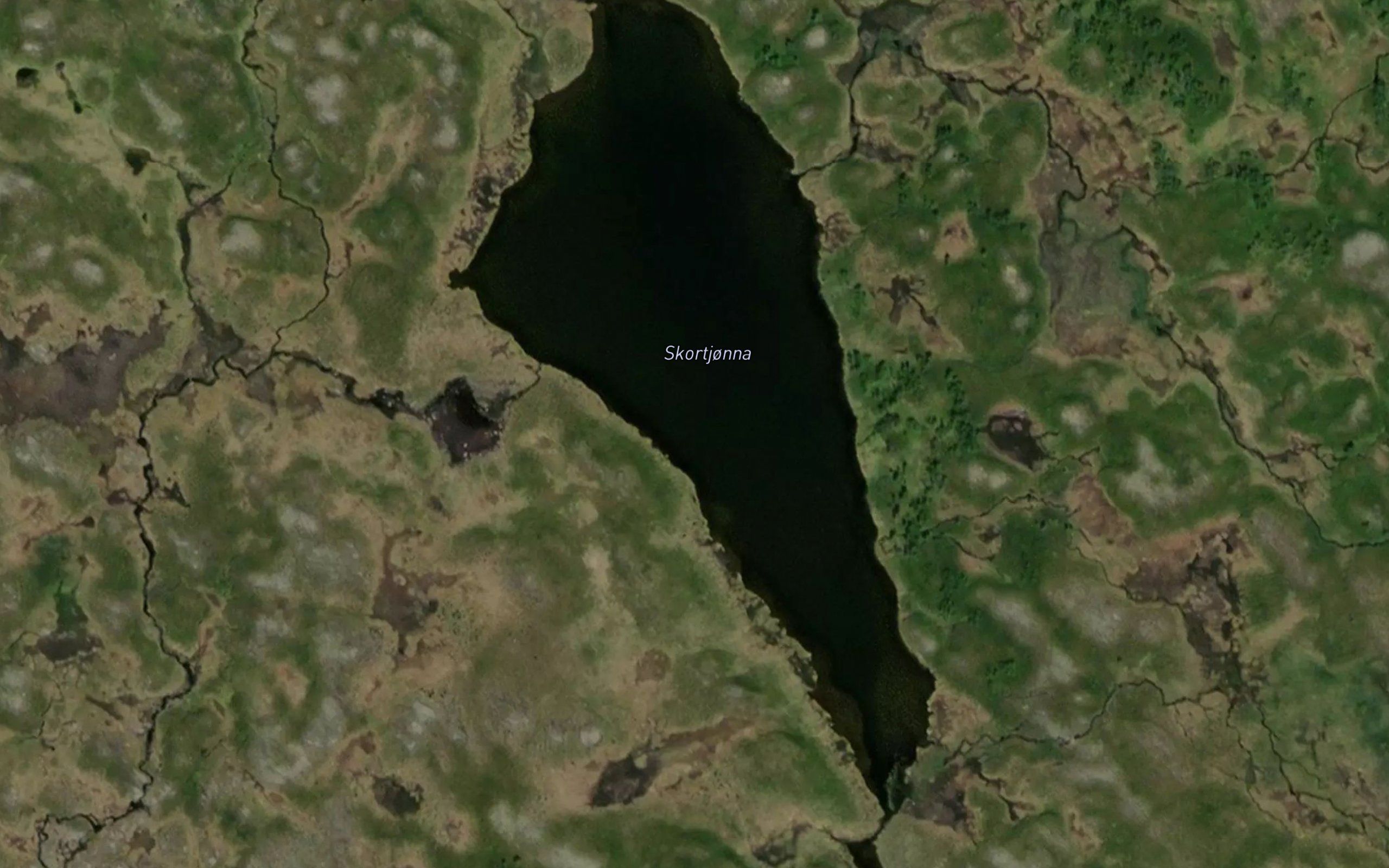 Skardtjorna