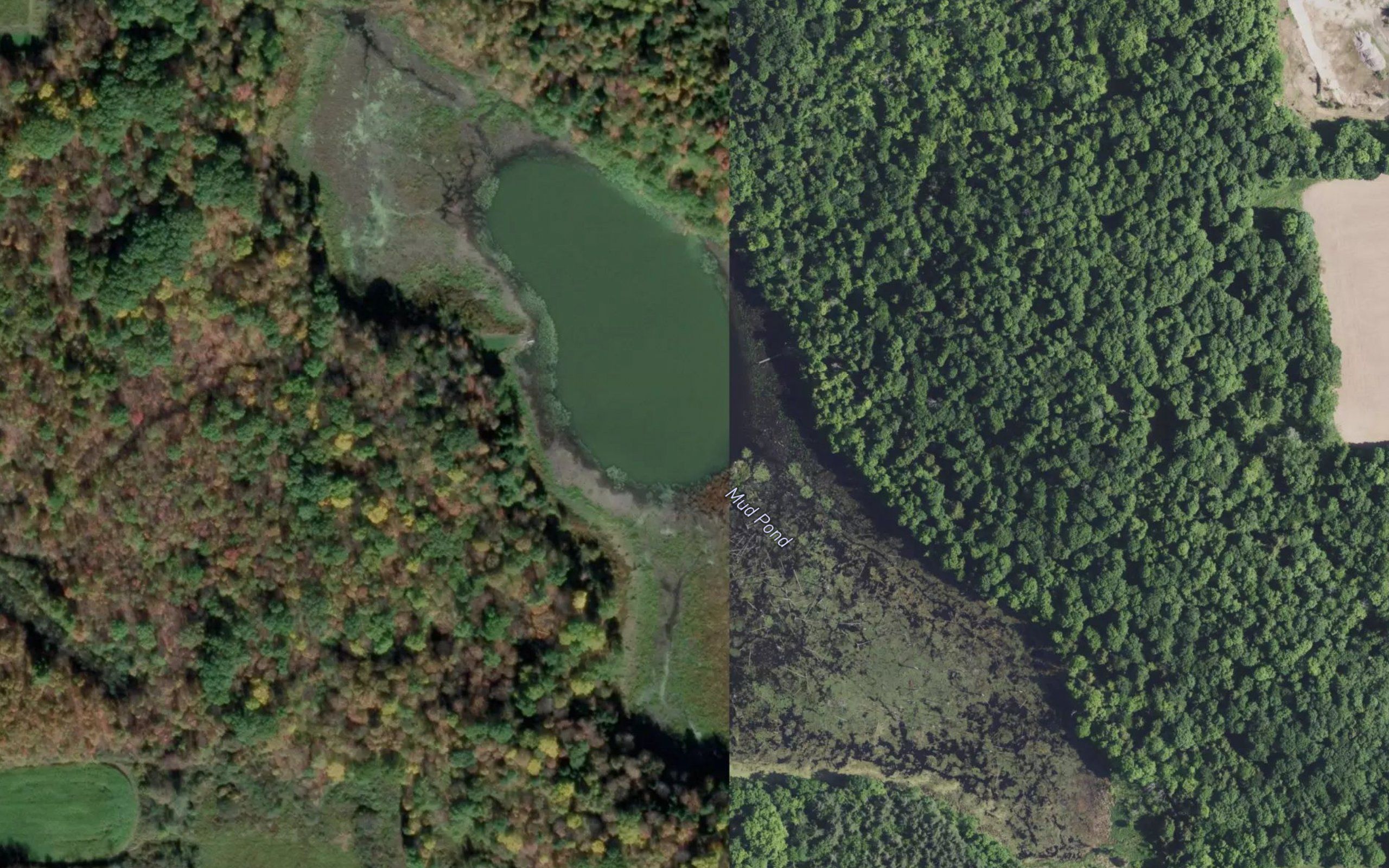 Mud Pond