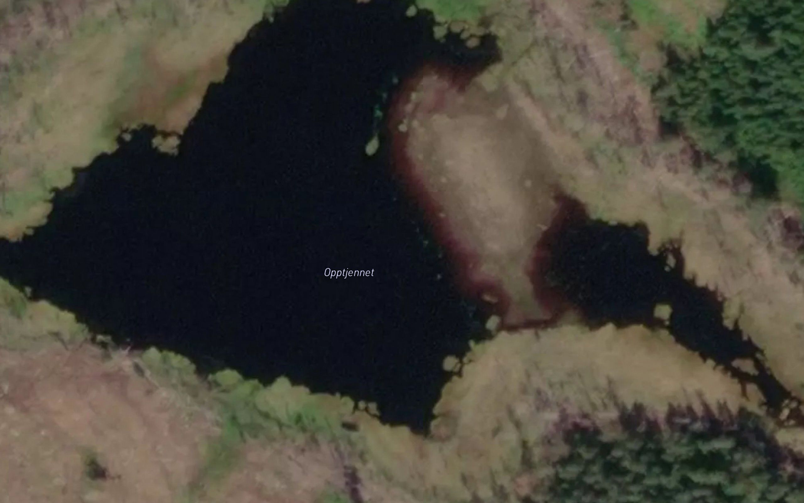 Opptjernet