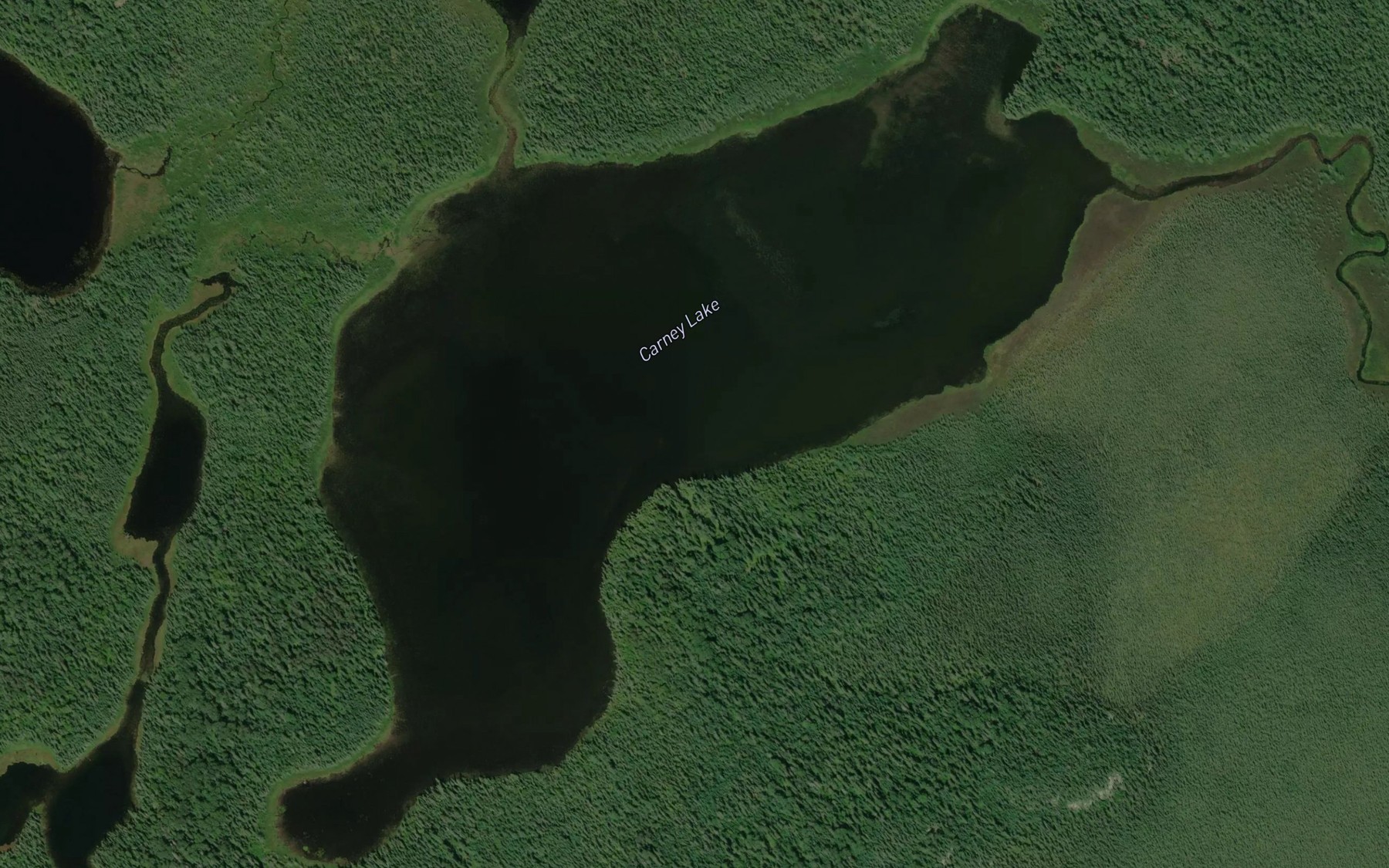 Satellite map of the Carney Lake
