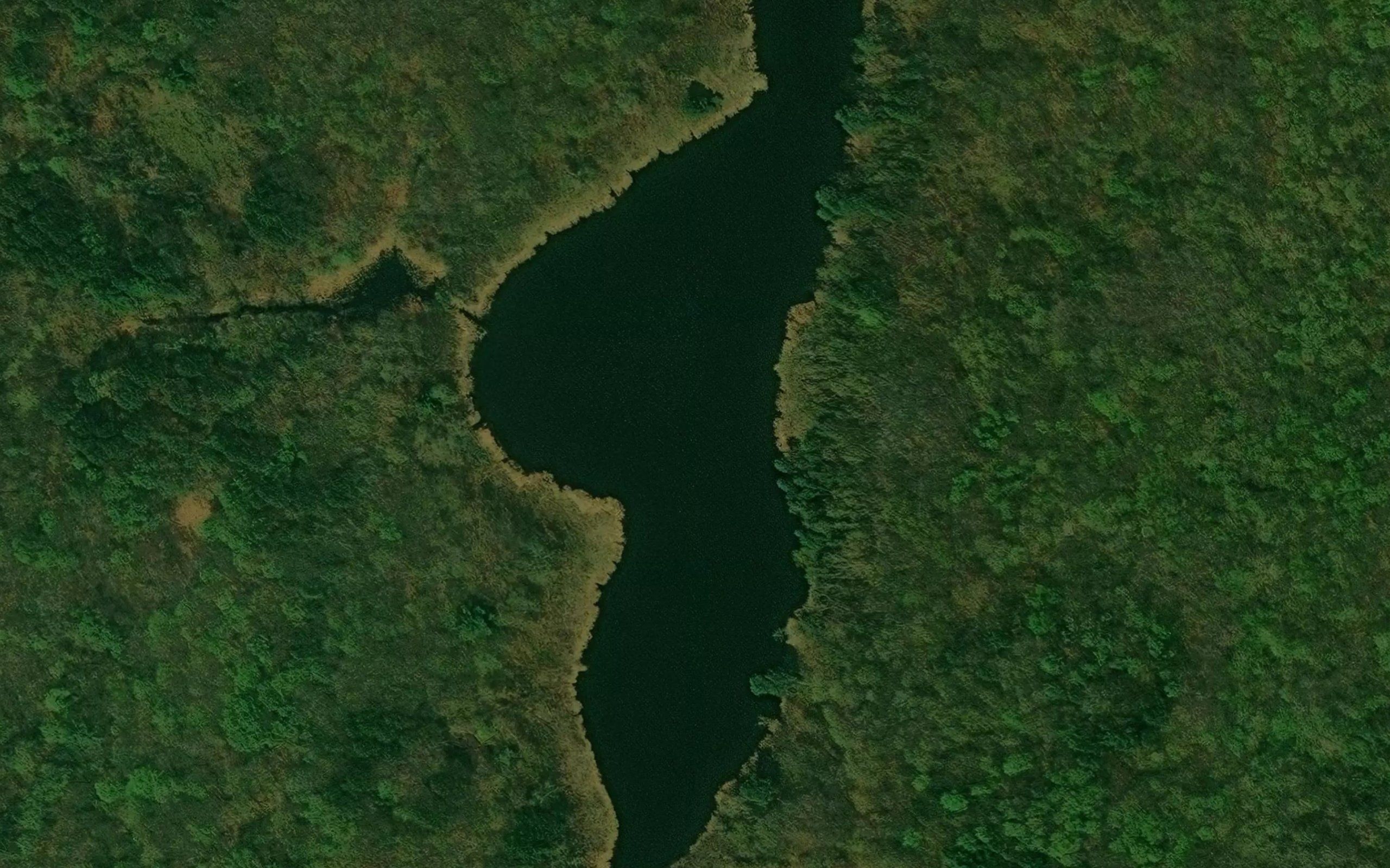 Dead Beaver Lake