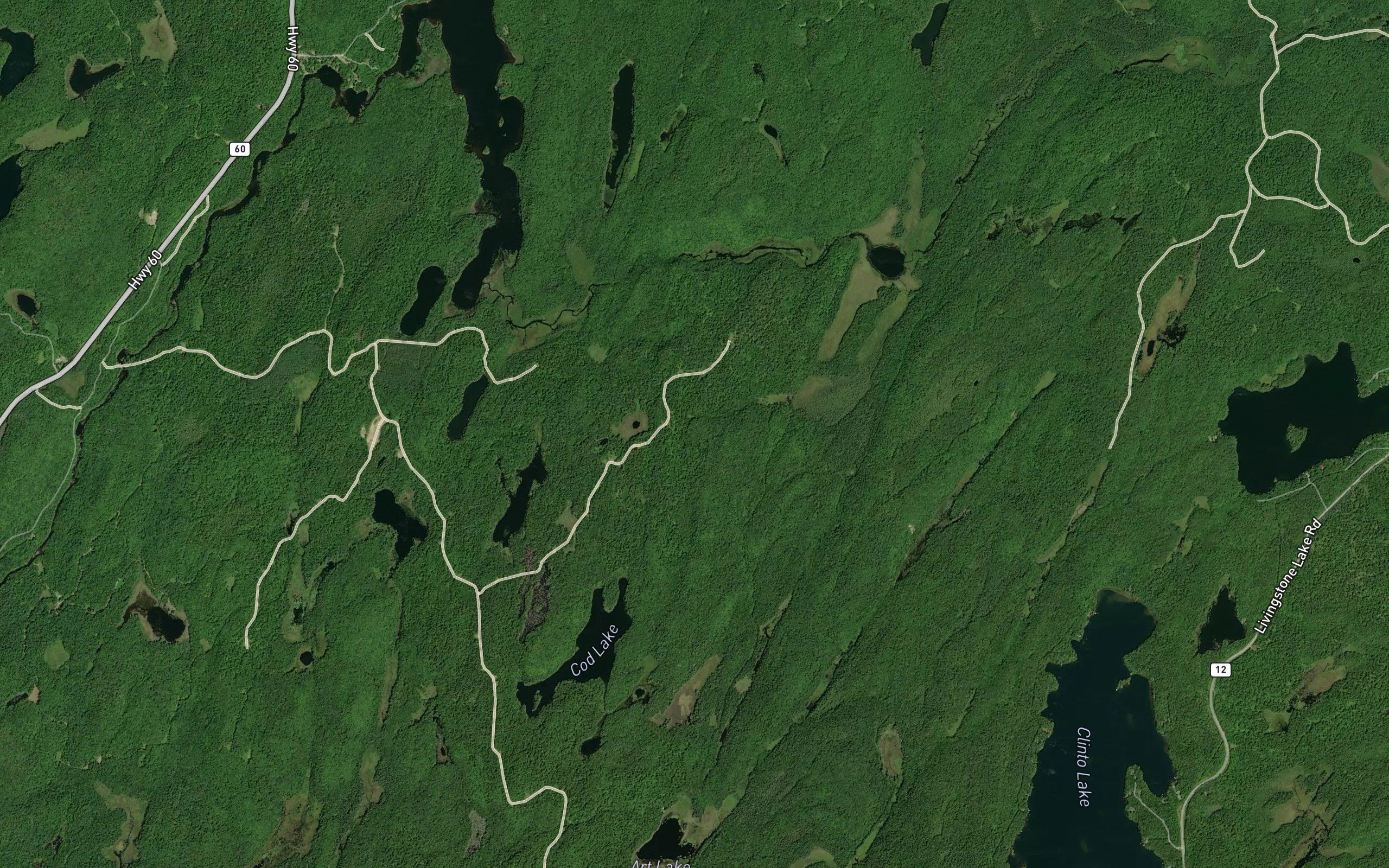 Quiver Creek
