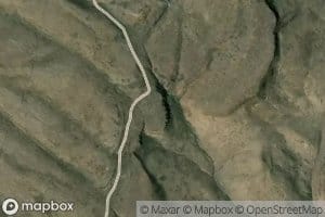Mustang Spring