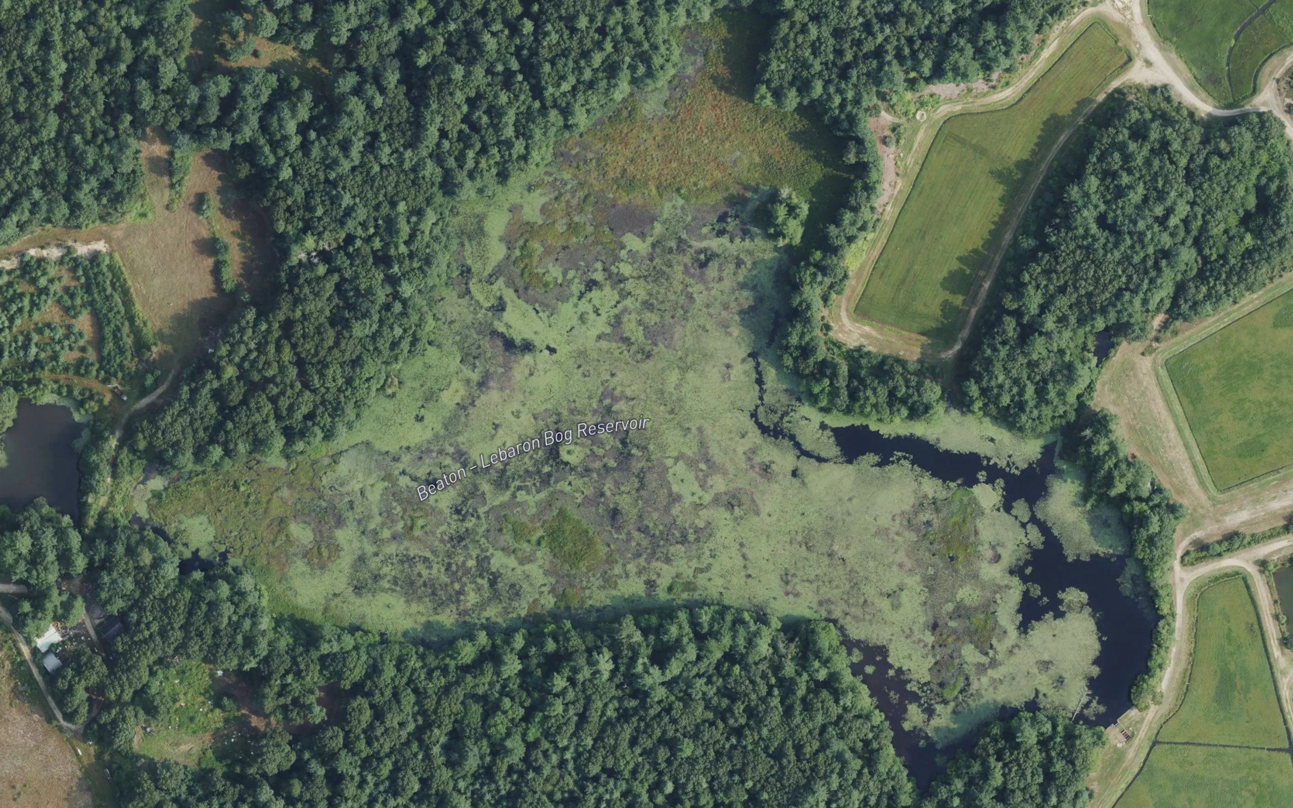 Beaton - Lebaron Bog Reservoir