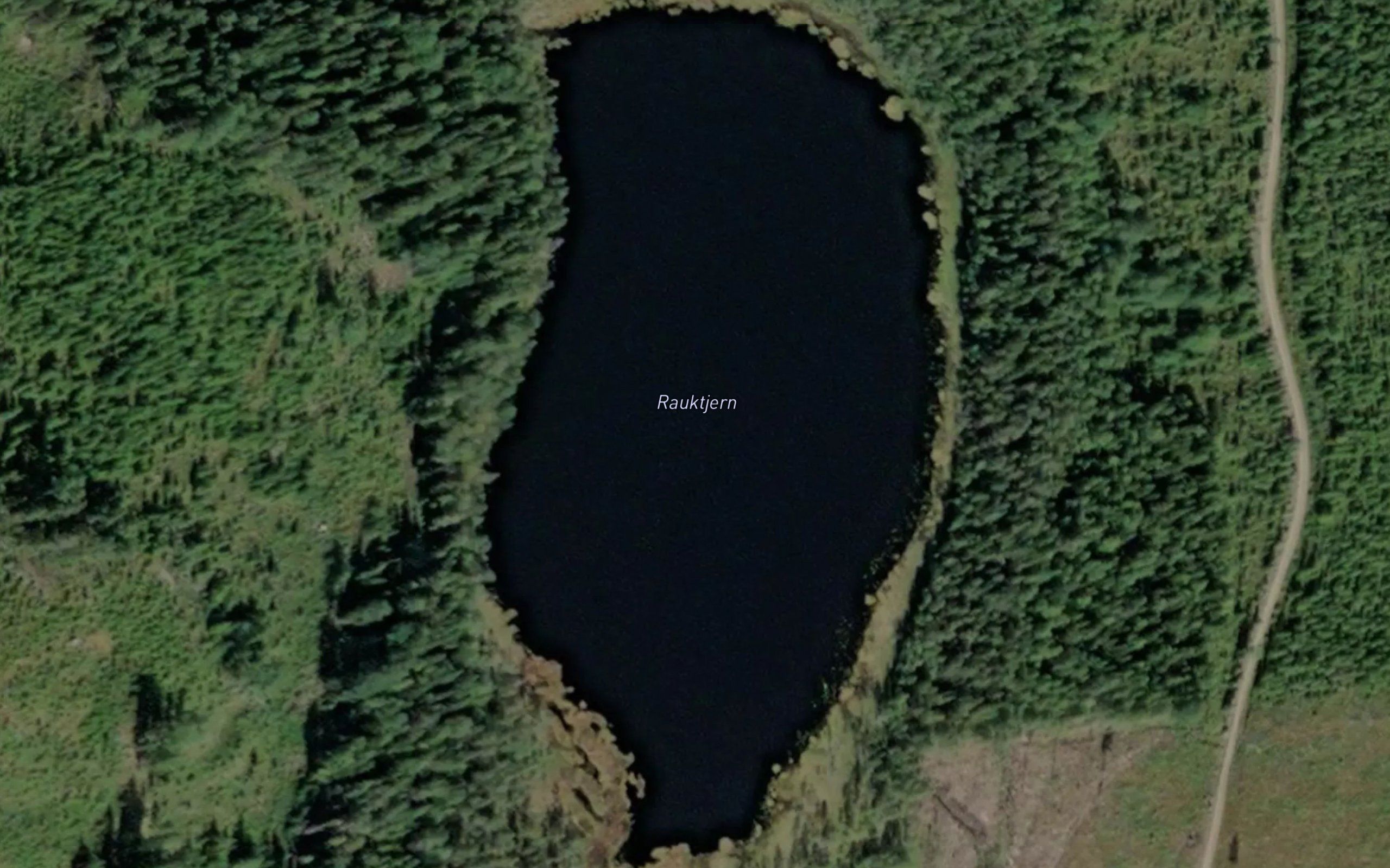 Rauktjern