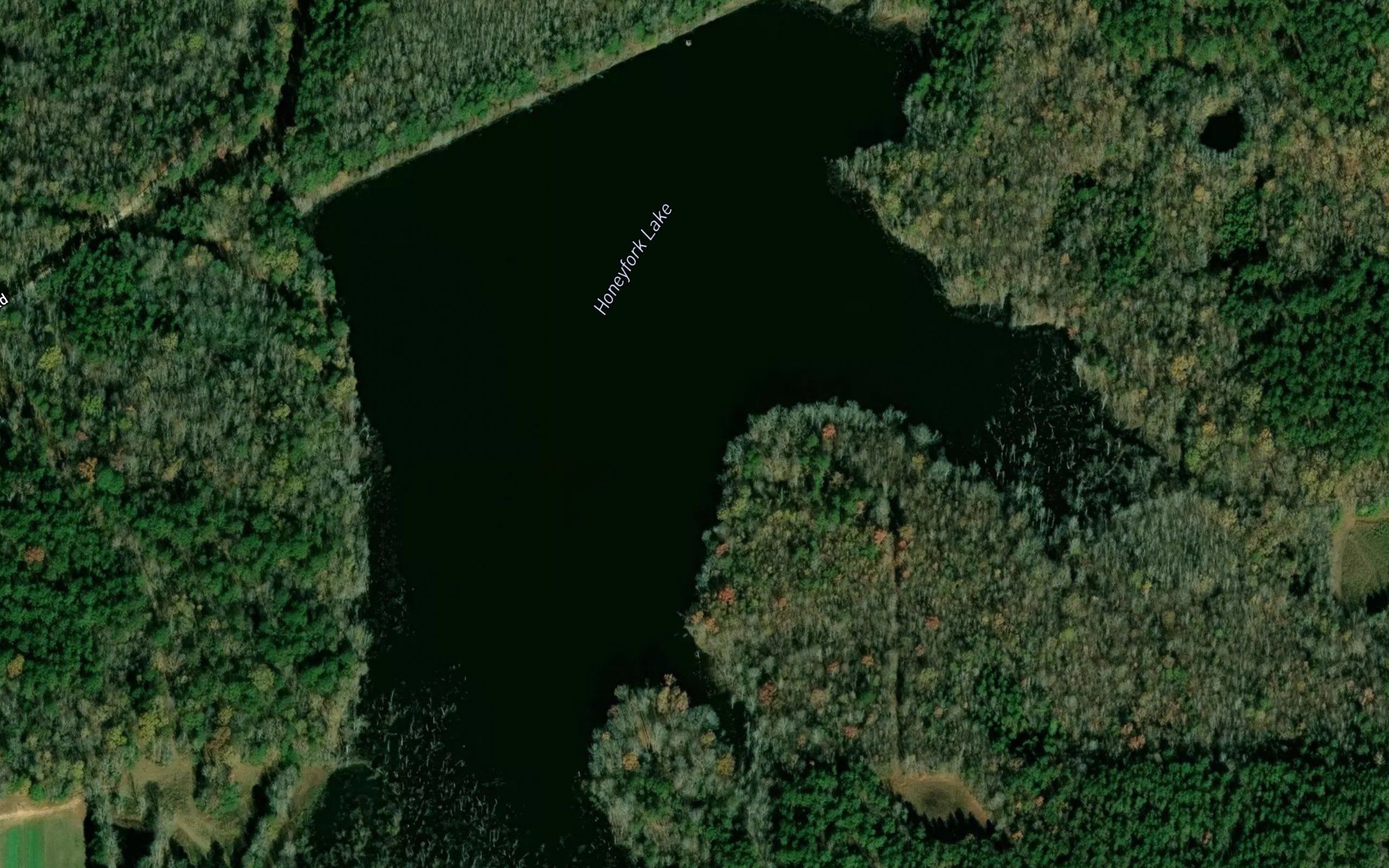 Honeyfork Lake