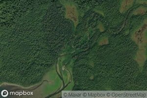 West Fork Olsen Bay Creek