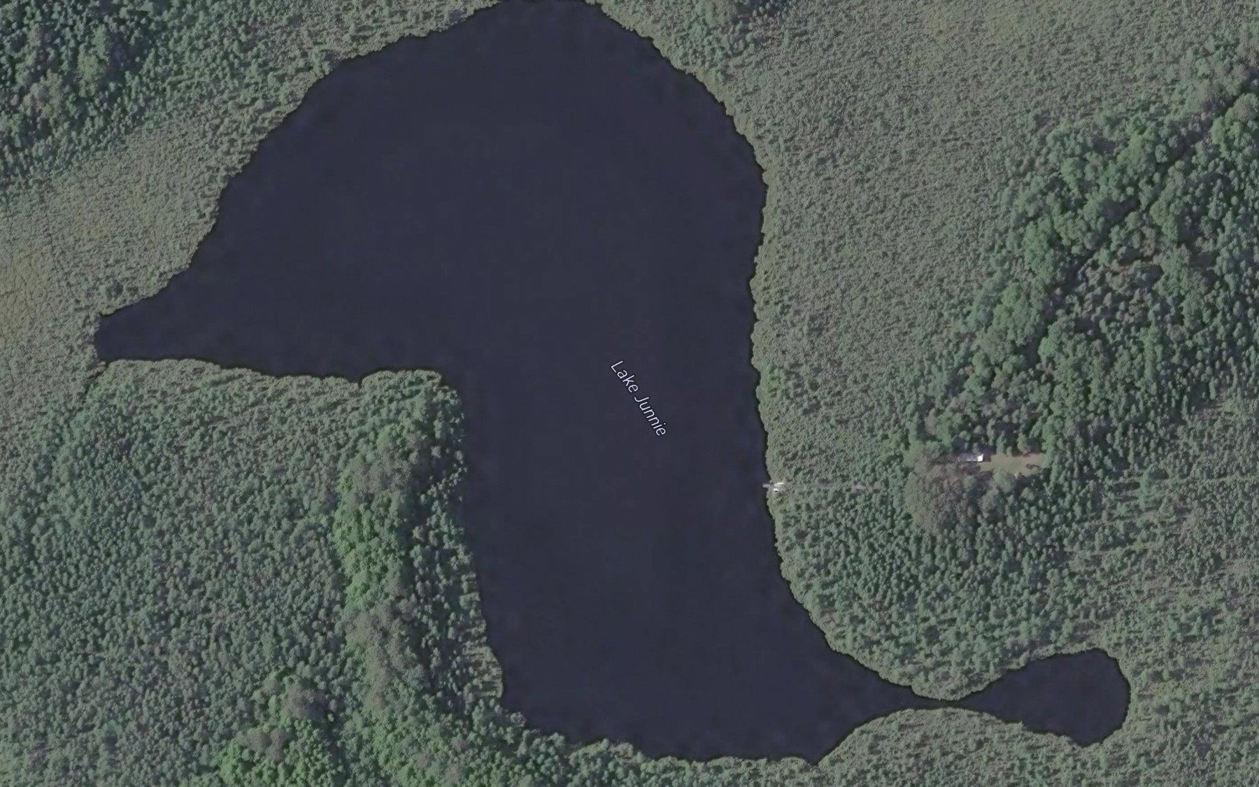 Satellite map of the Lake Junnie