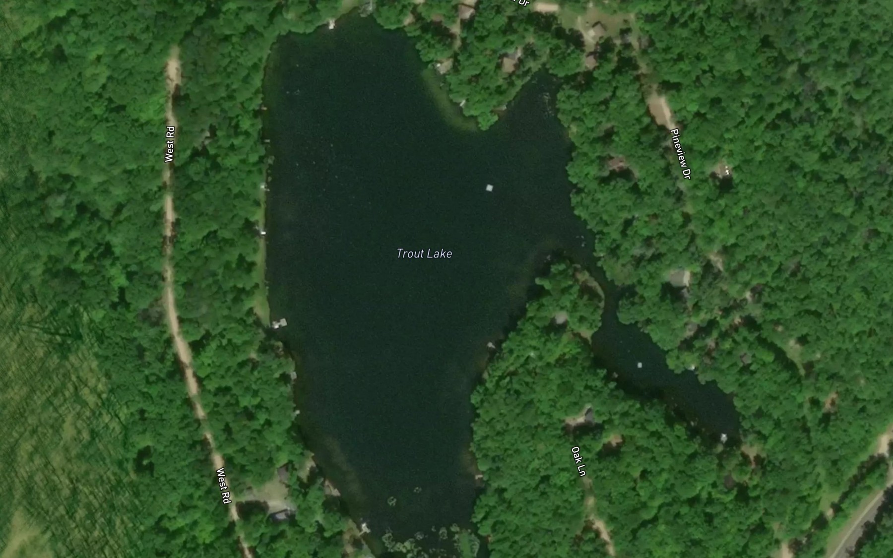 Satellite map of the Trout Lake
