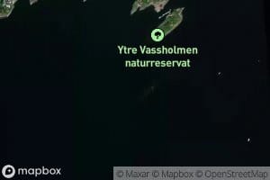 Vestre Vassholmflua