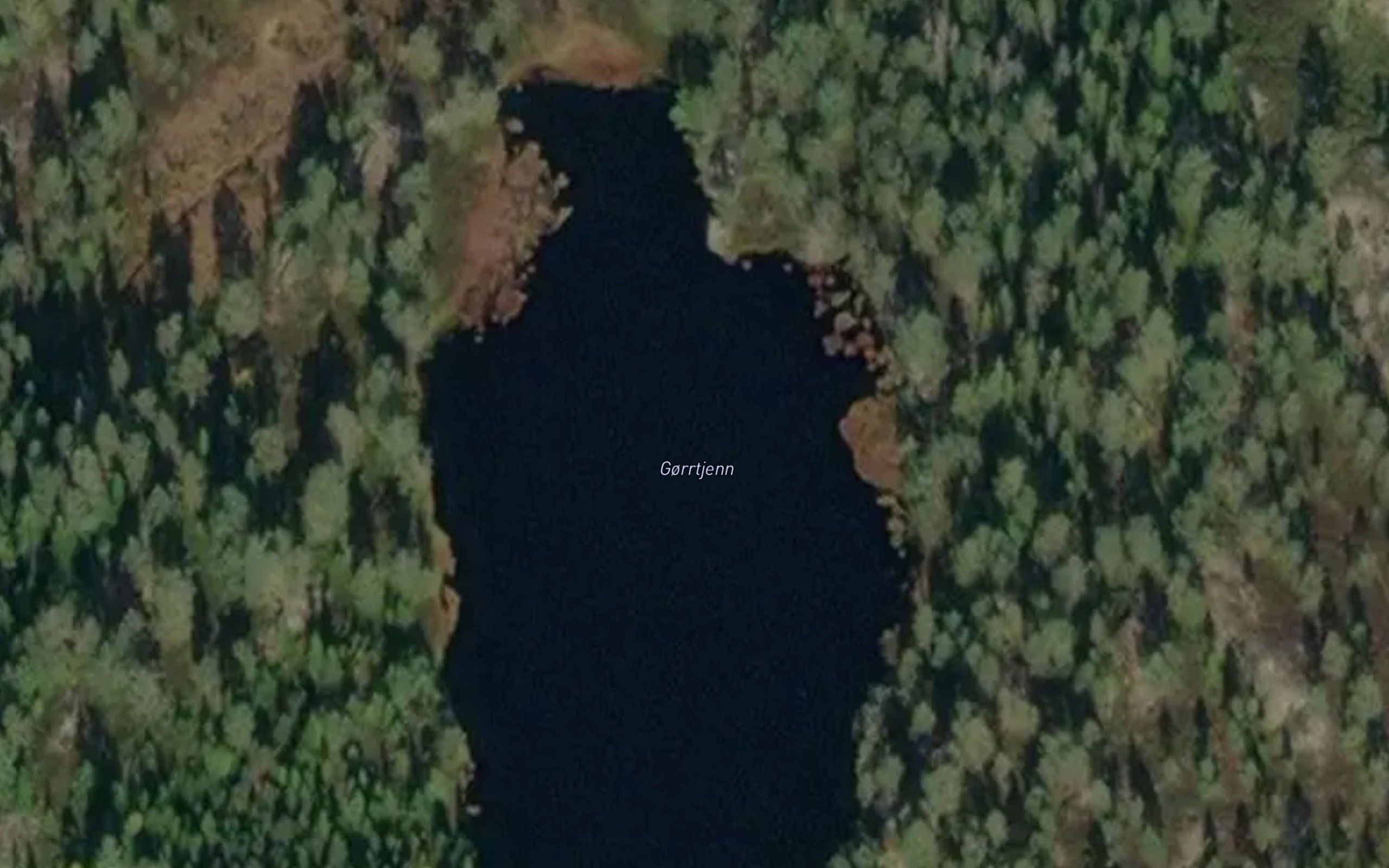 Gortjern