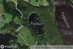 Paskuri