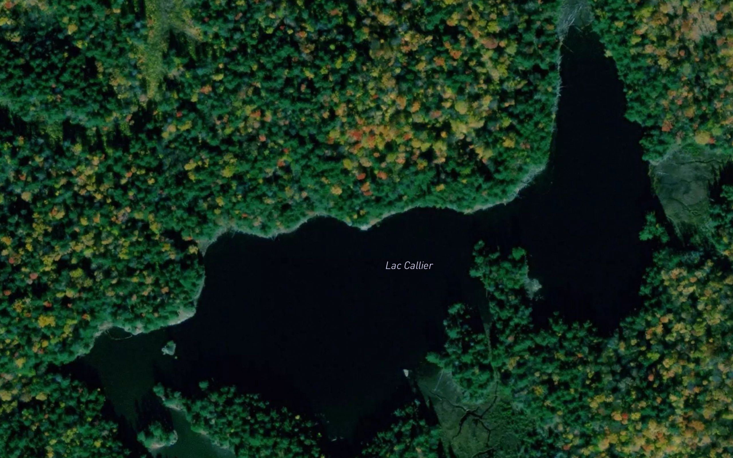 Lac Callier