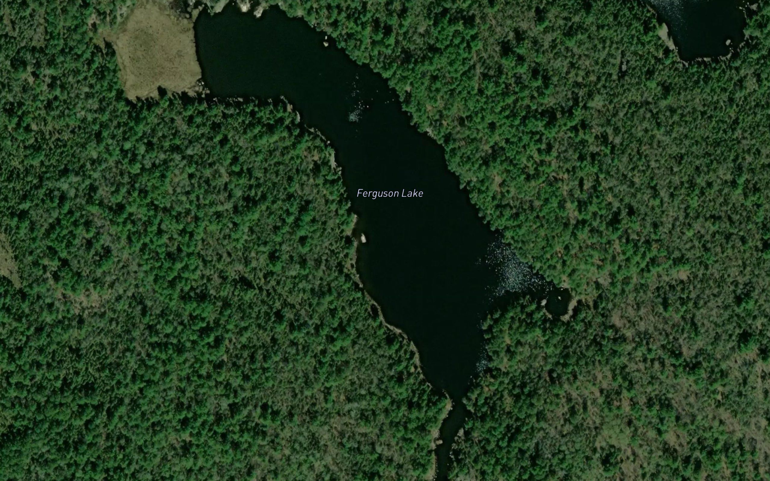 Ferguson Lake