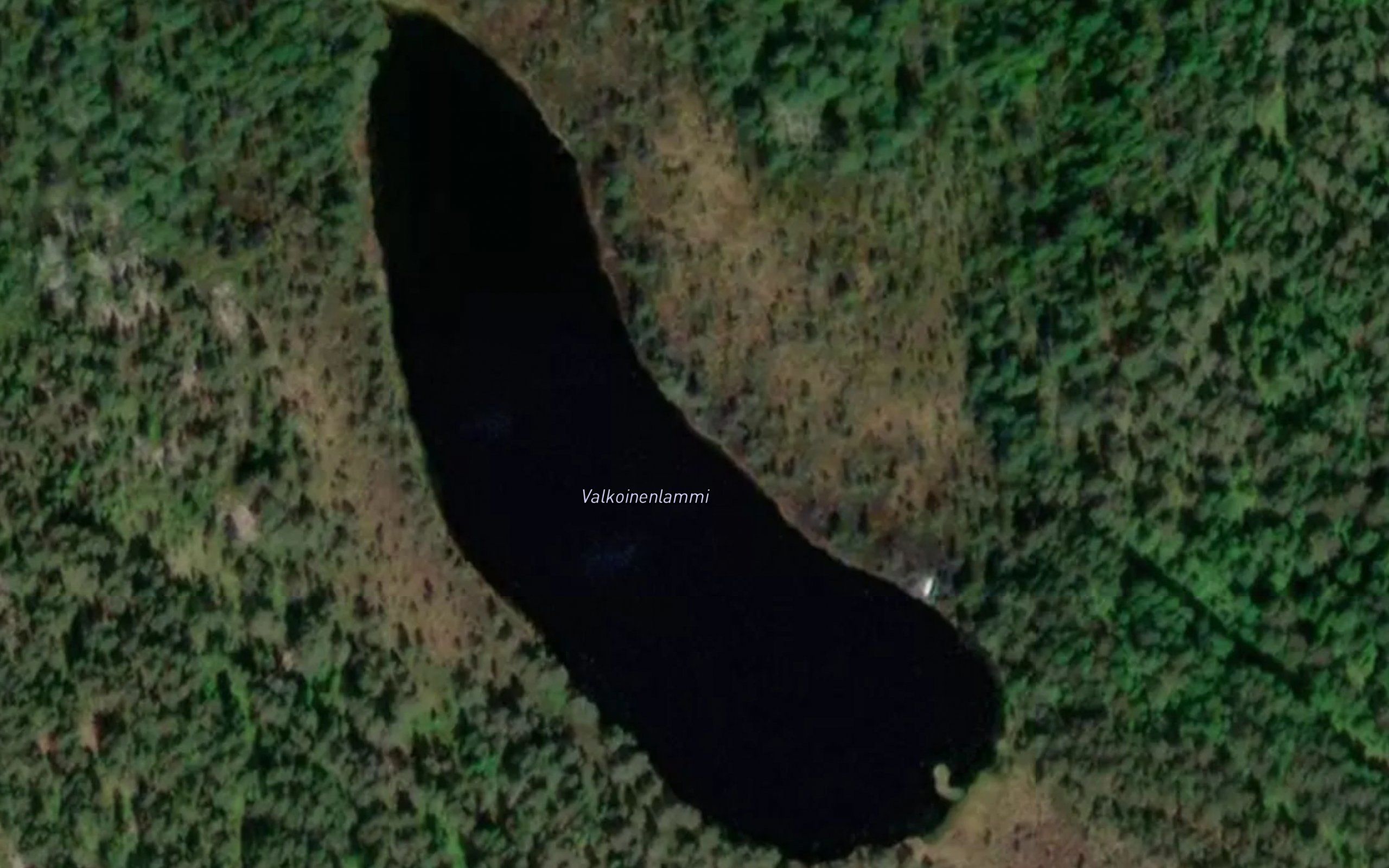 Valkoinenlammi
