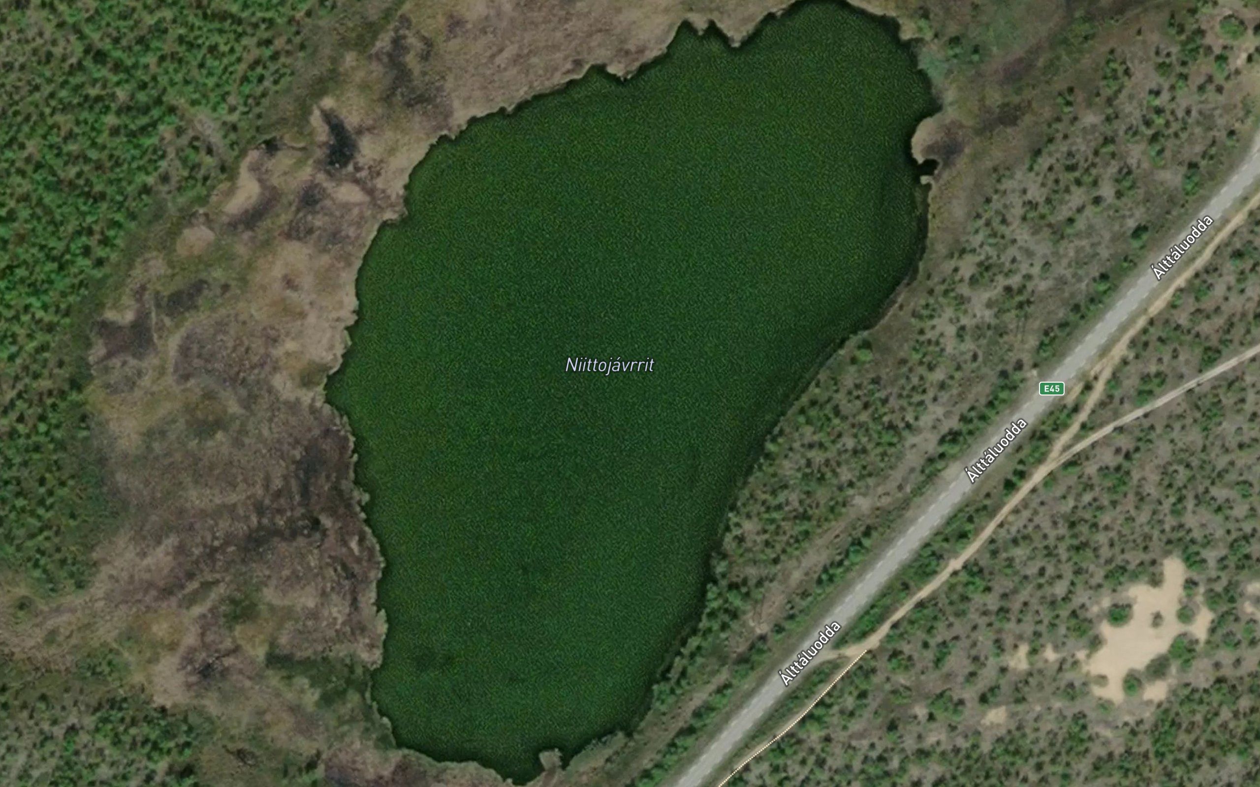 Niitujavrit