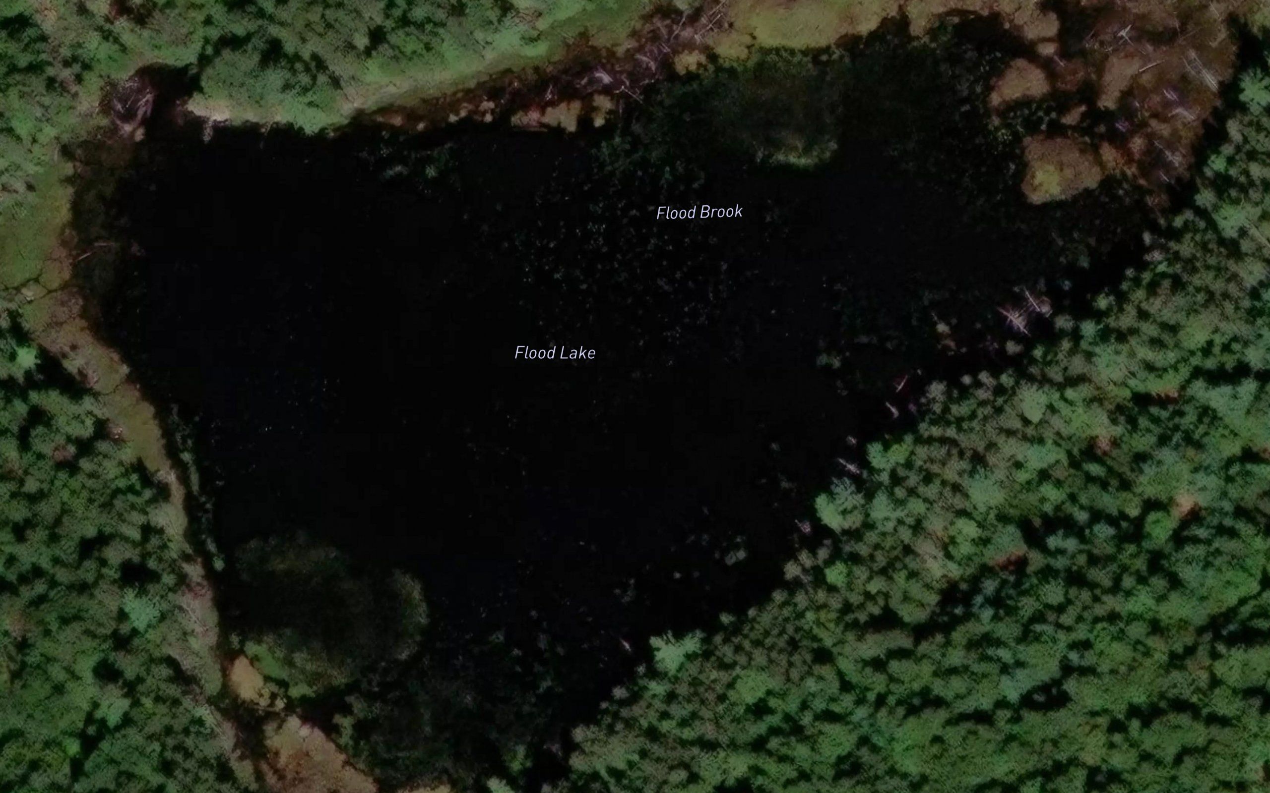 Flood Lake