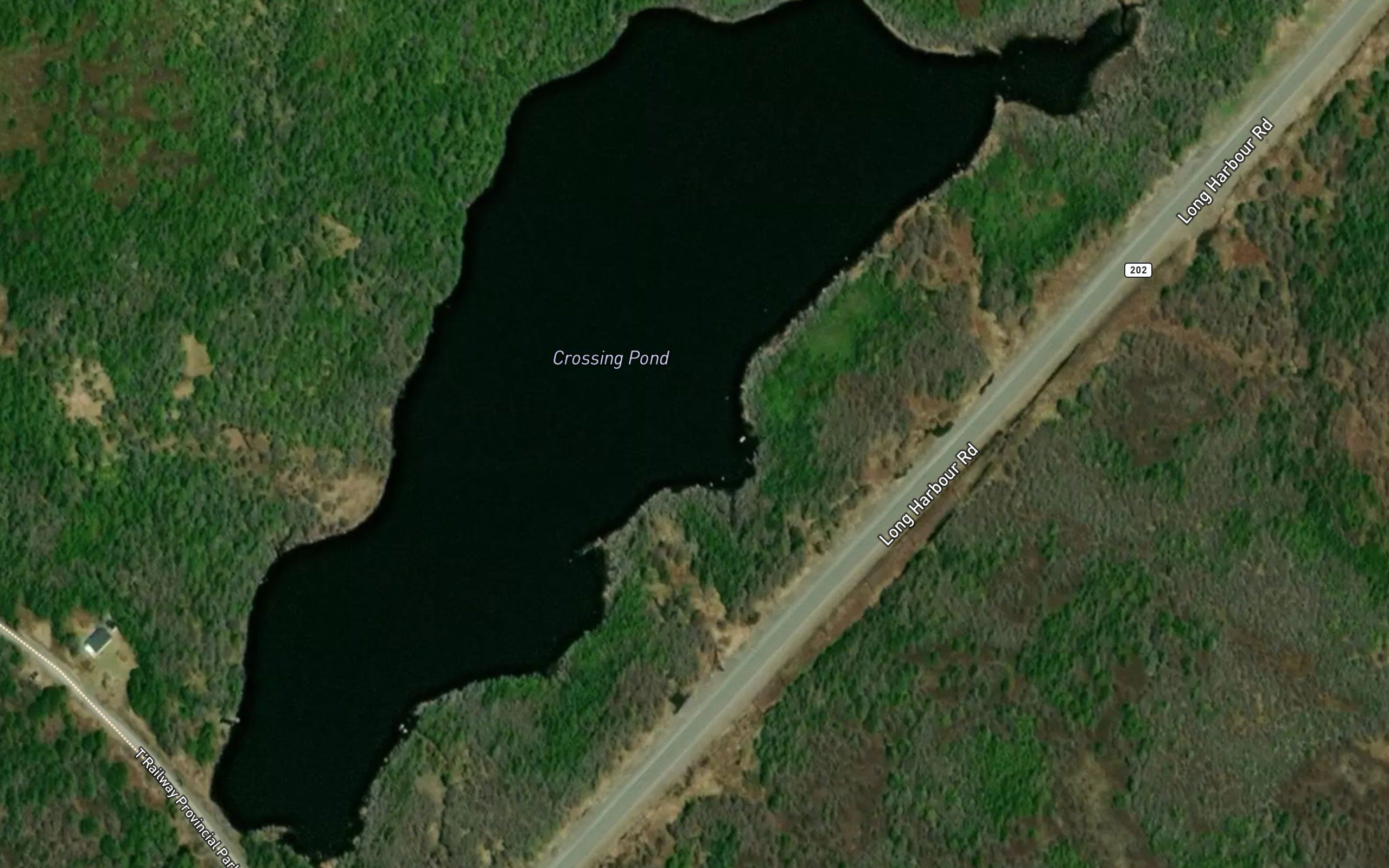 Crossing Pond