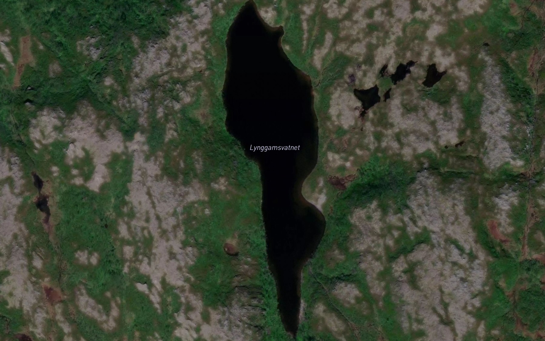 Satellite map of the Lynggamsvatnet