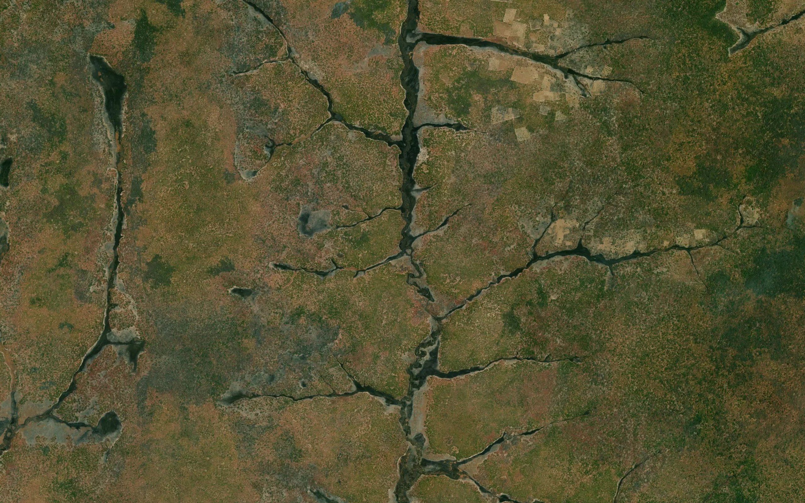 Mpupo