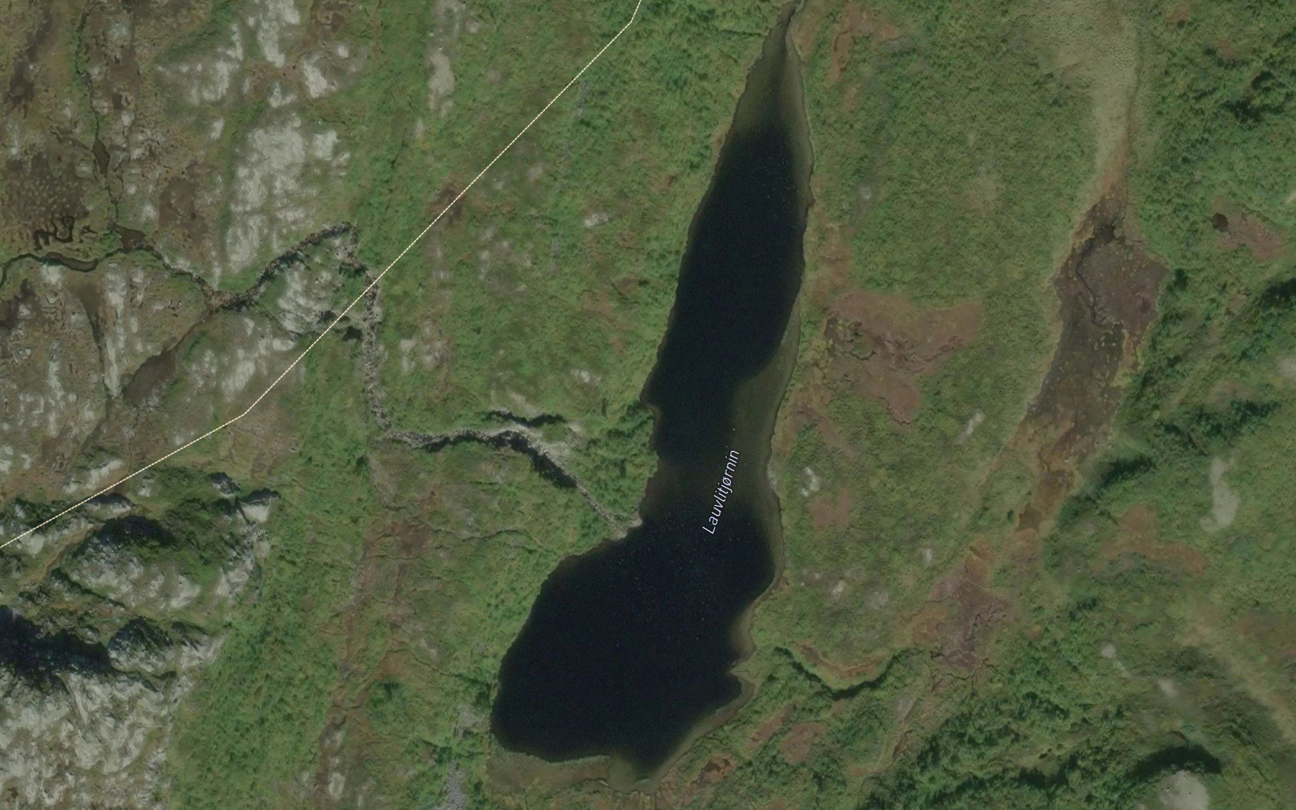 Lauvlitjornin