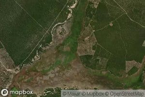 Vereda Mutum de Cima