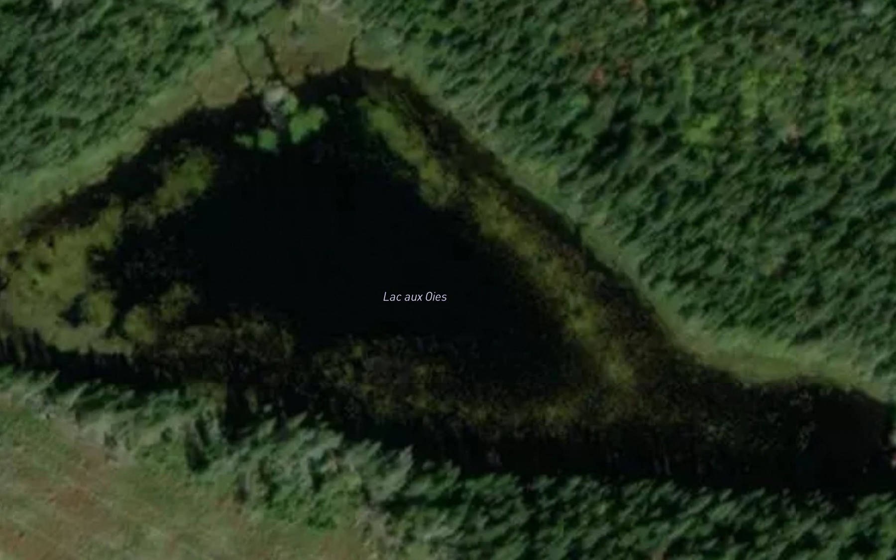 Satellite map of the Lac aux Oies
