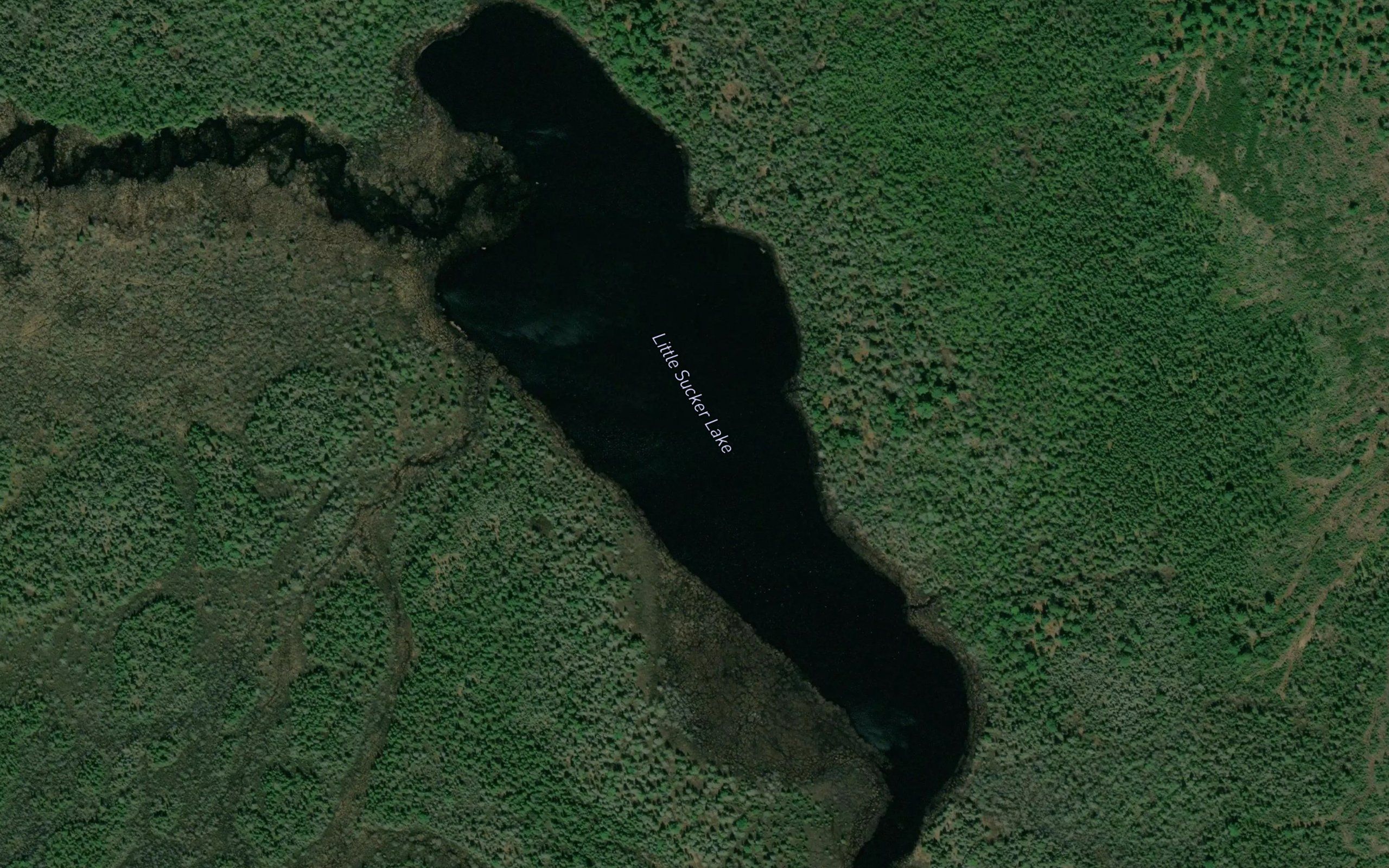 Little Sucker Lake