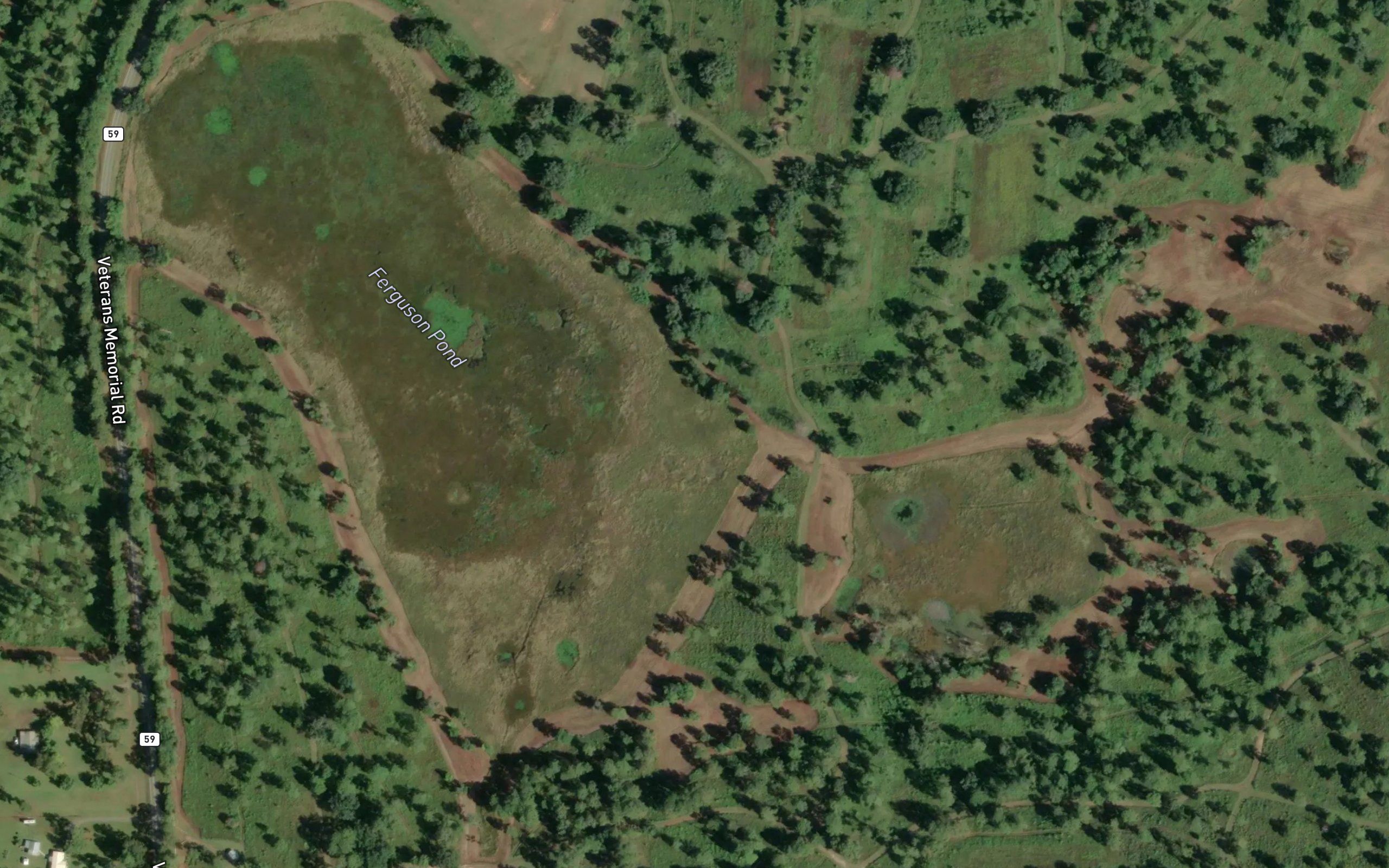 Ferguson Pond