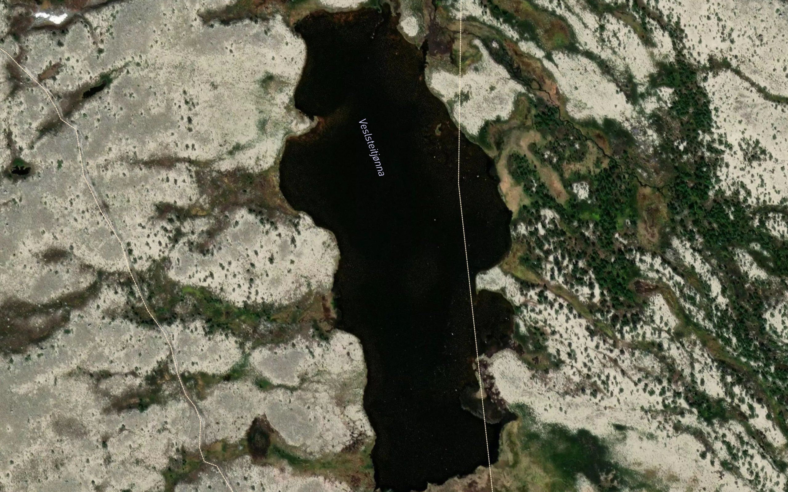 Veslsteitjorna