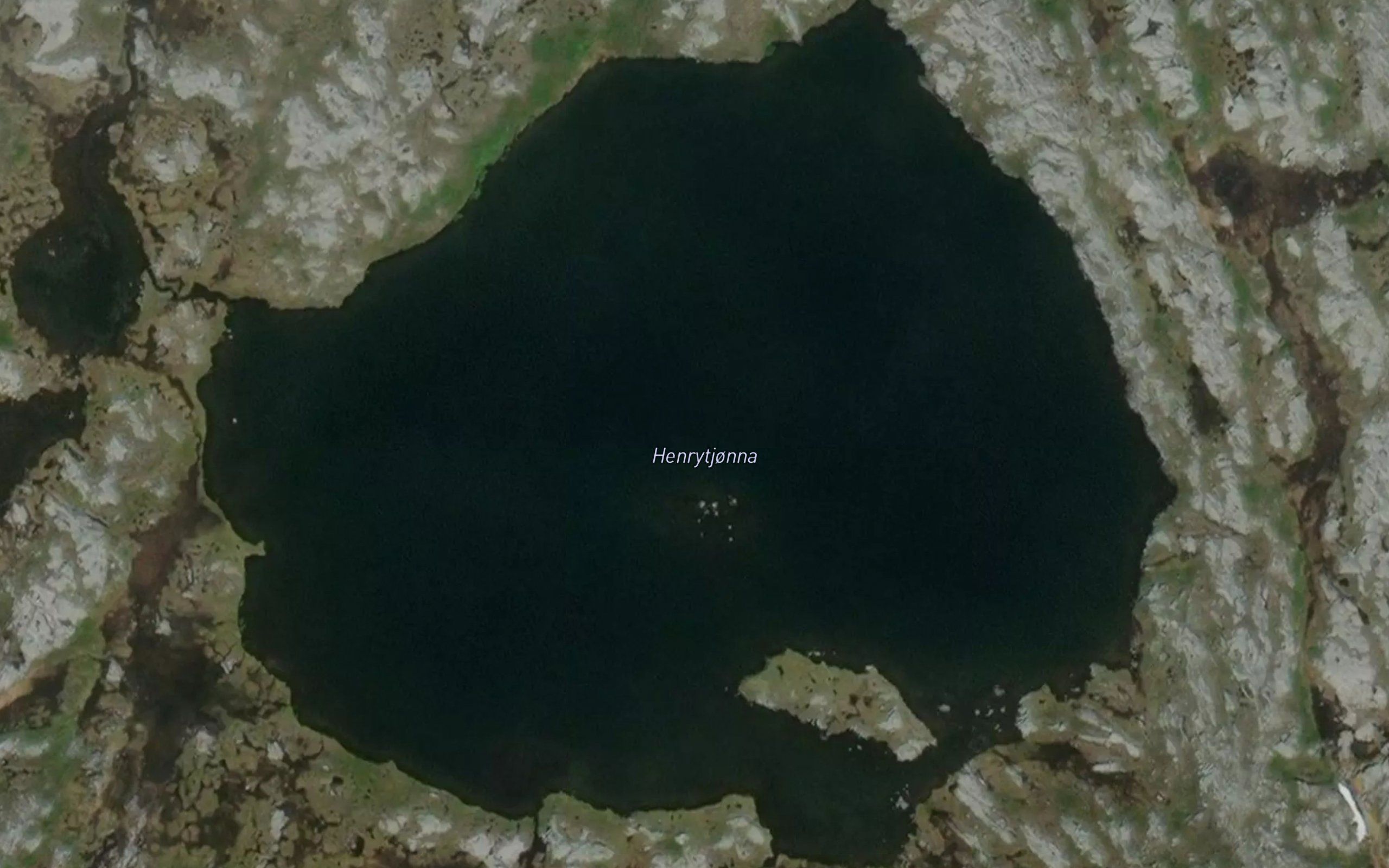 Henrytjonna