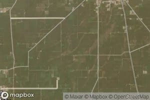 Sadda Singhwala Branch