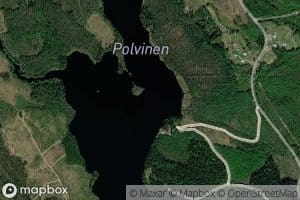 Polvinen
