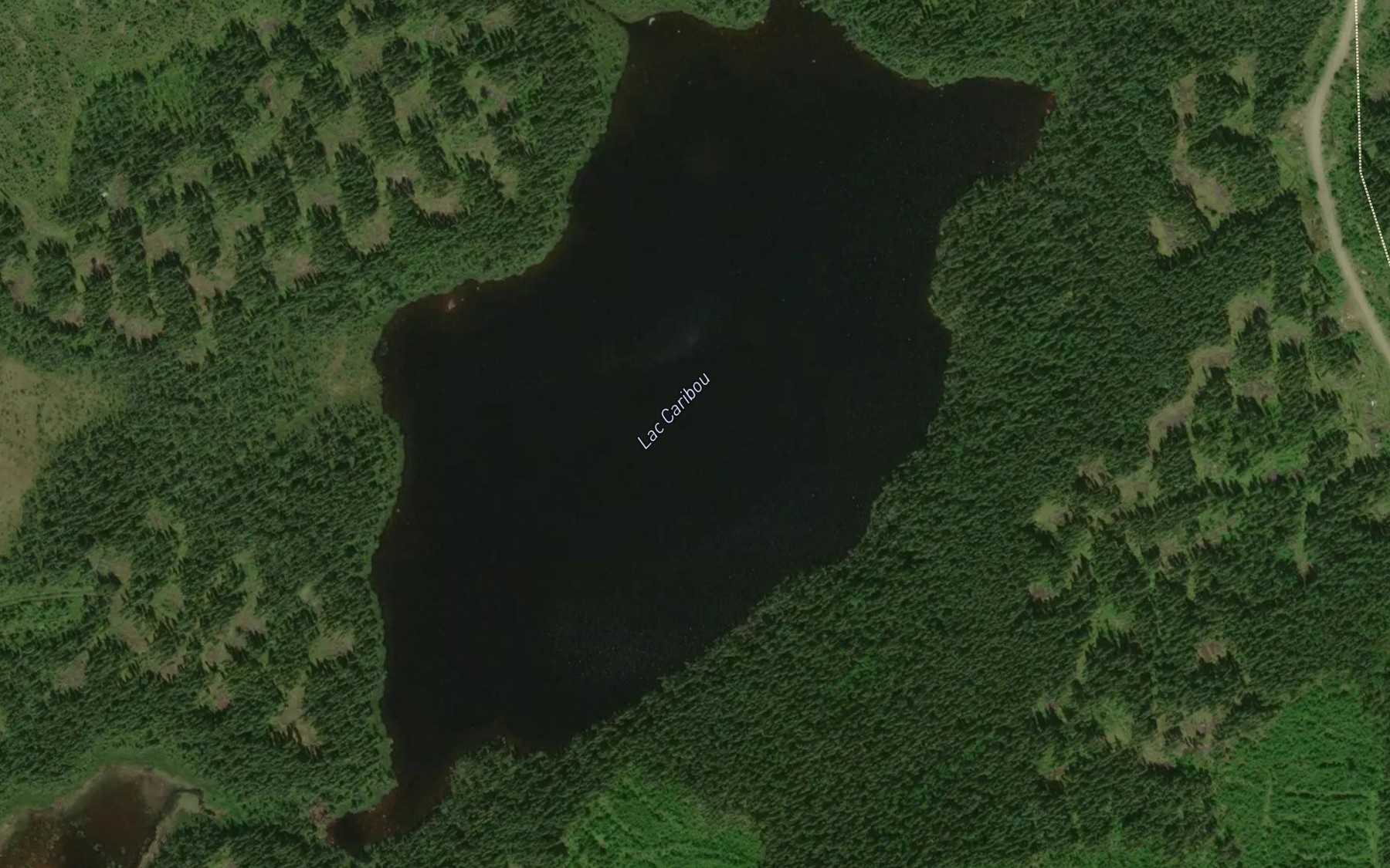 Satellite map of the Lac Caribou