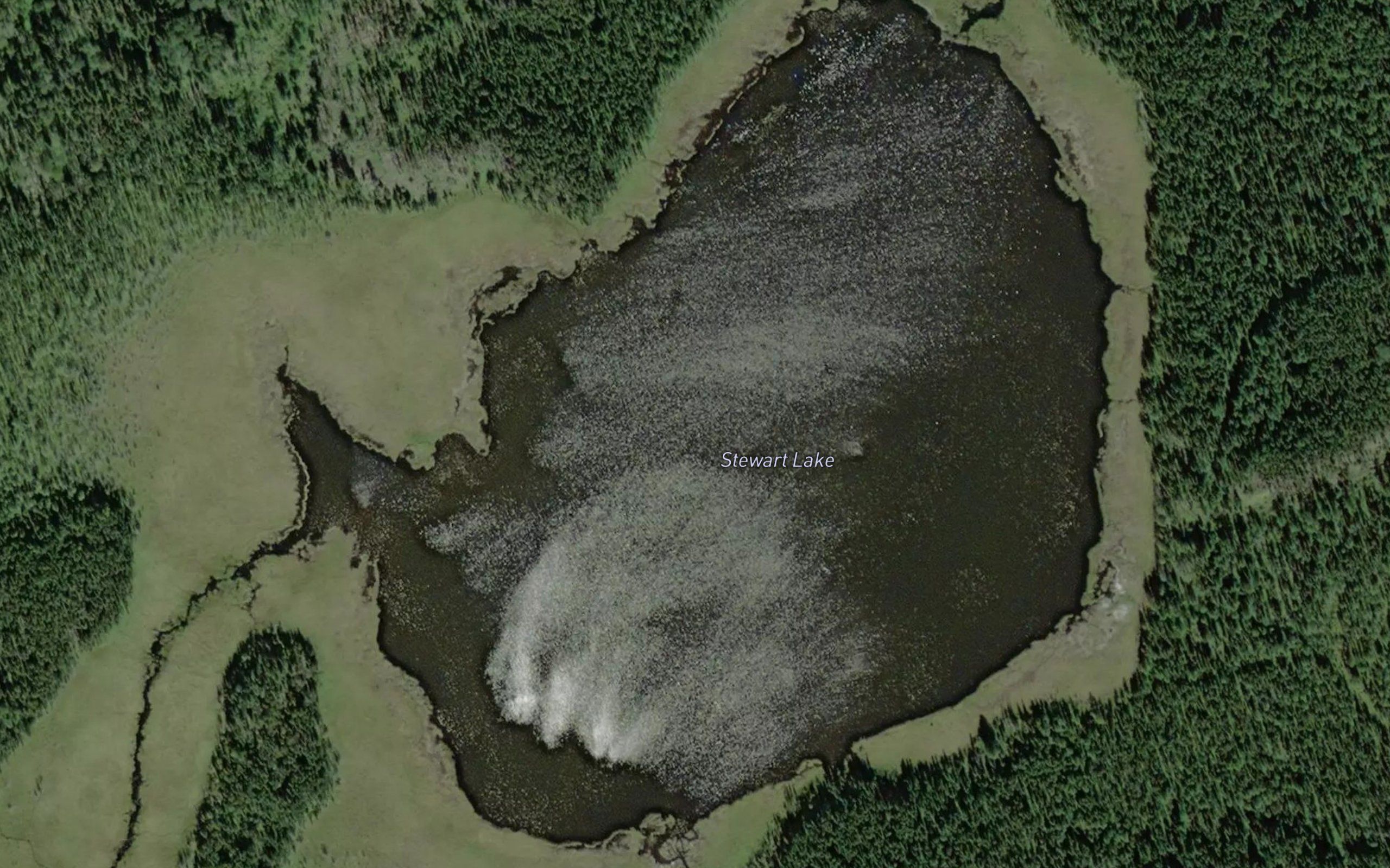 Stewart Lake