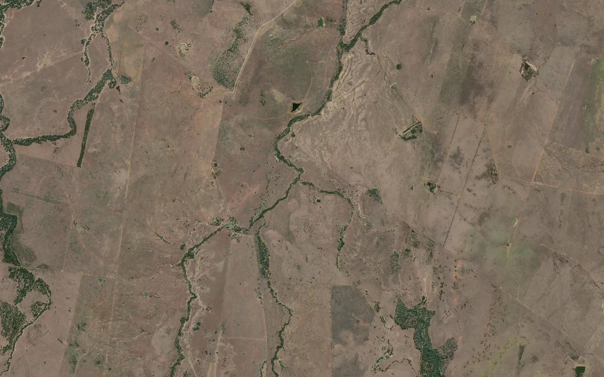 Palmgrove Creek
