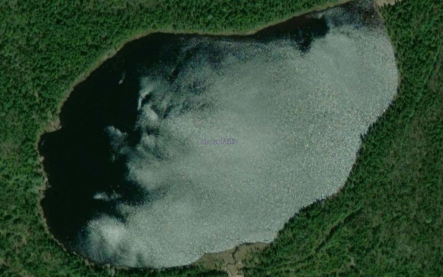 Satellite map of the Lac aux Taillis