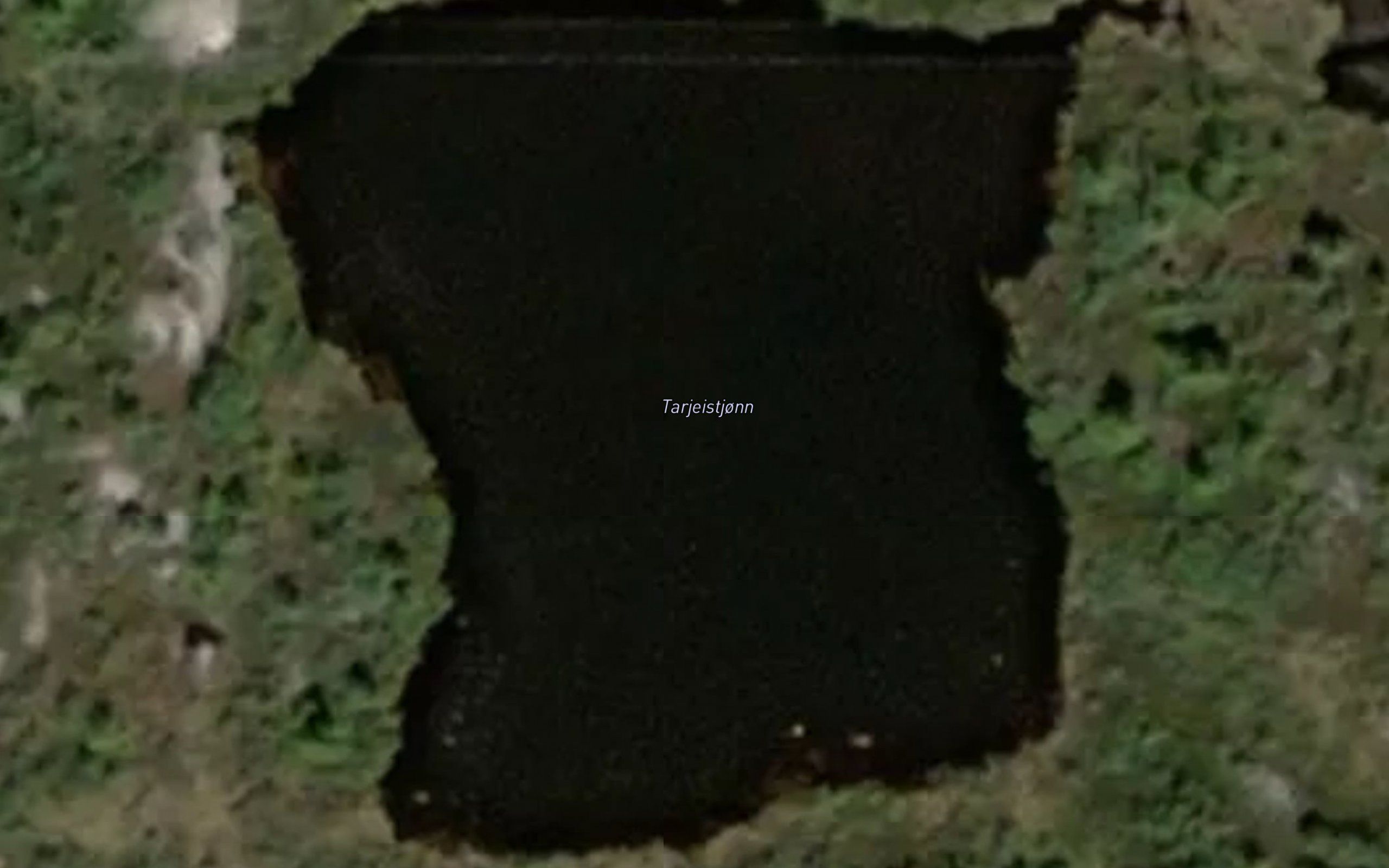 Tarjeistjonn