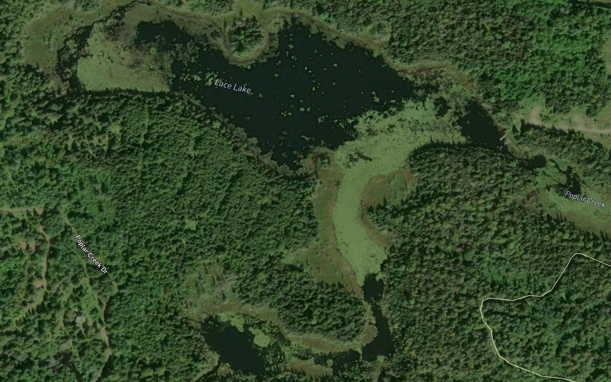 Lace Lake