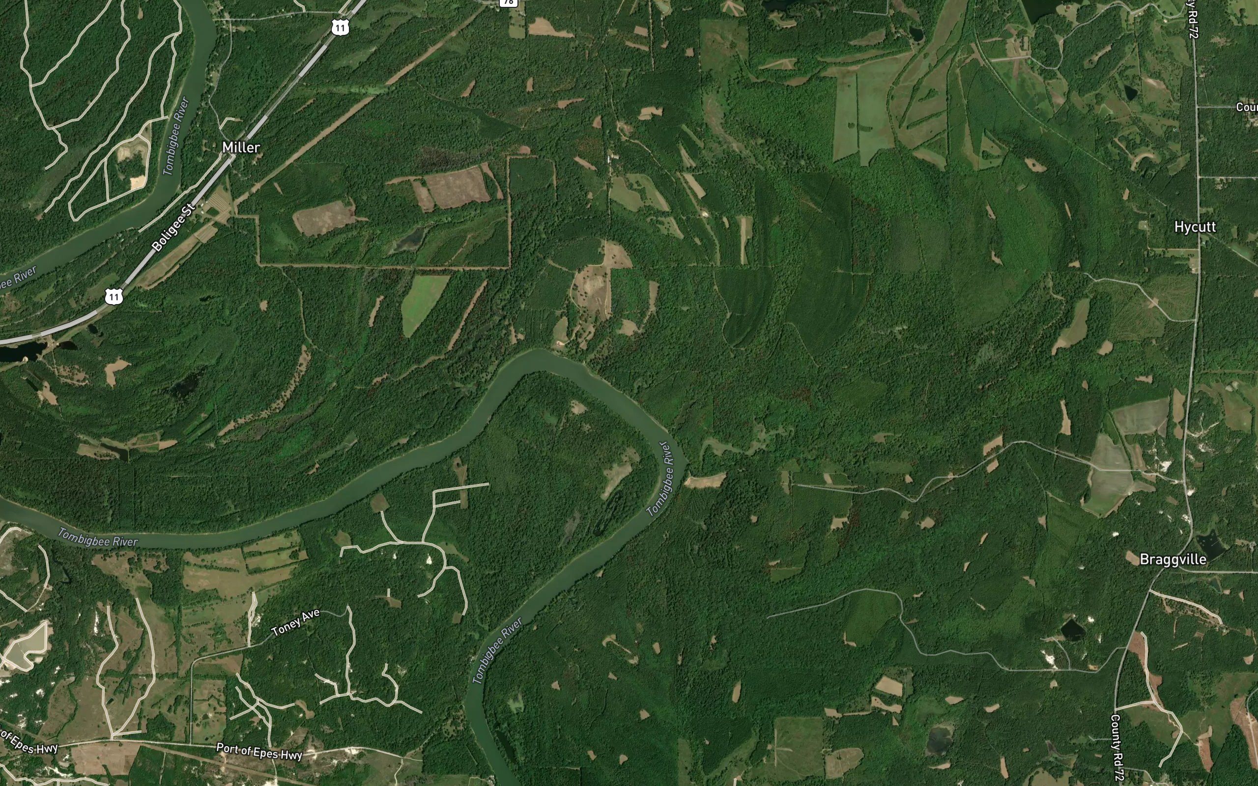 Gum Pond Slough