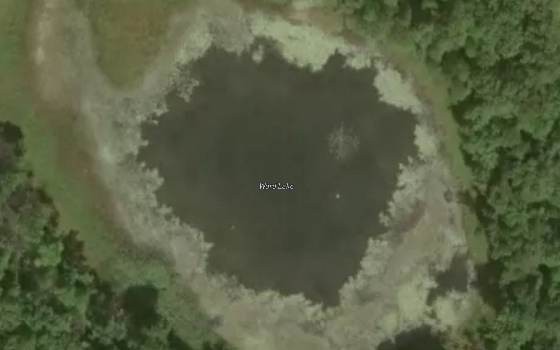 Satellite map of the Ward Lake