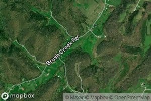 Skillet Handle Branch