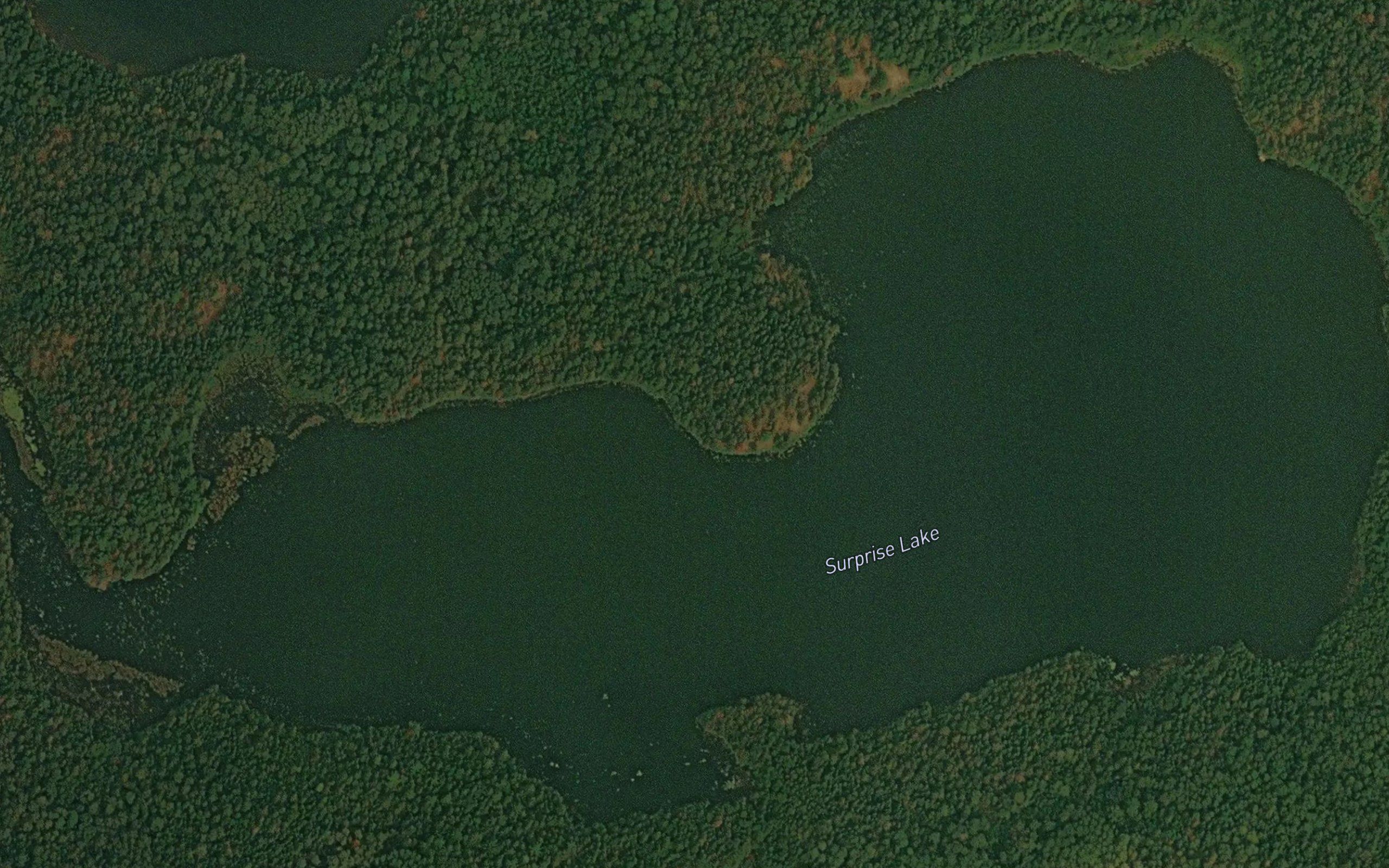 Surprise Lake